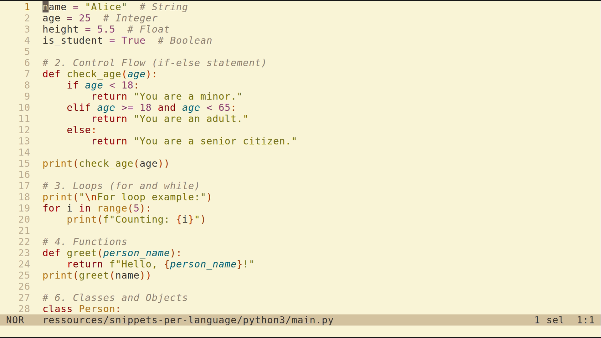 main.py 