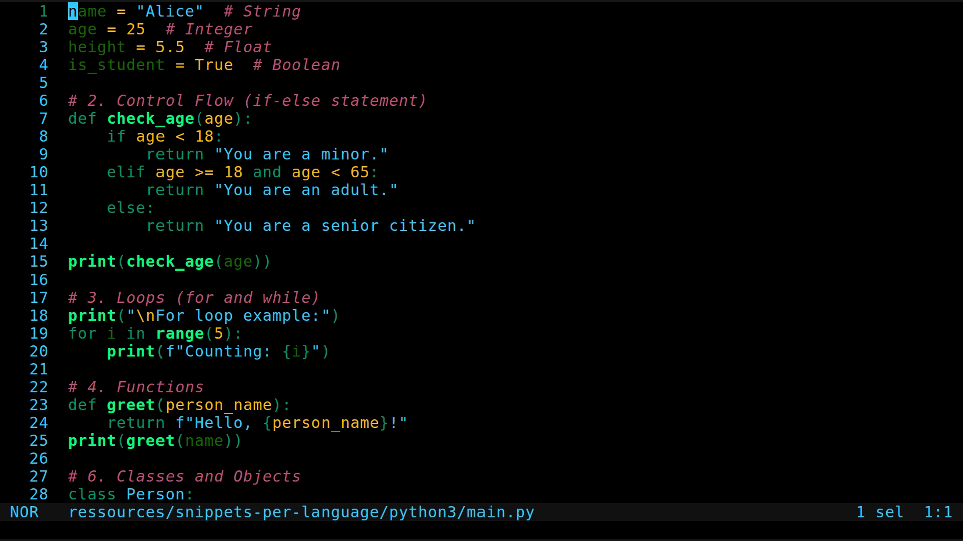 main.py 