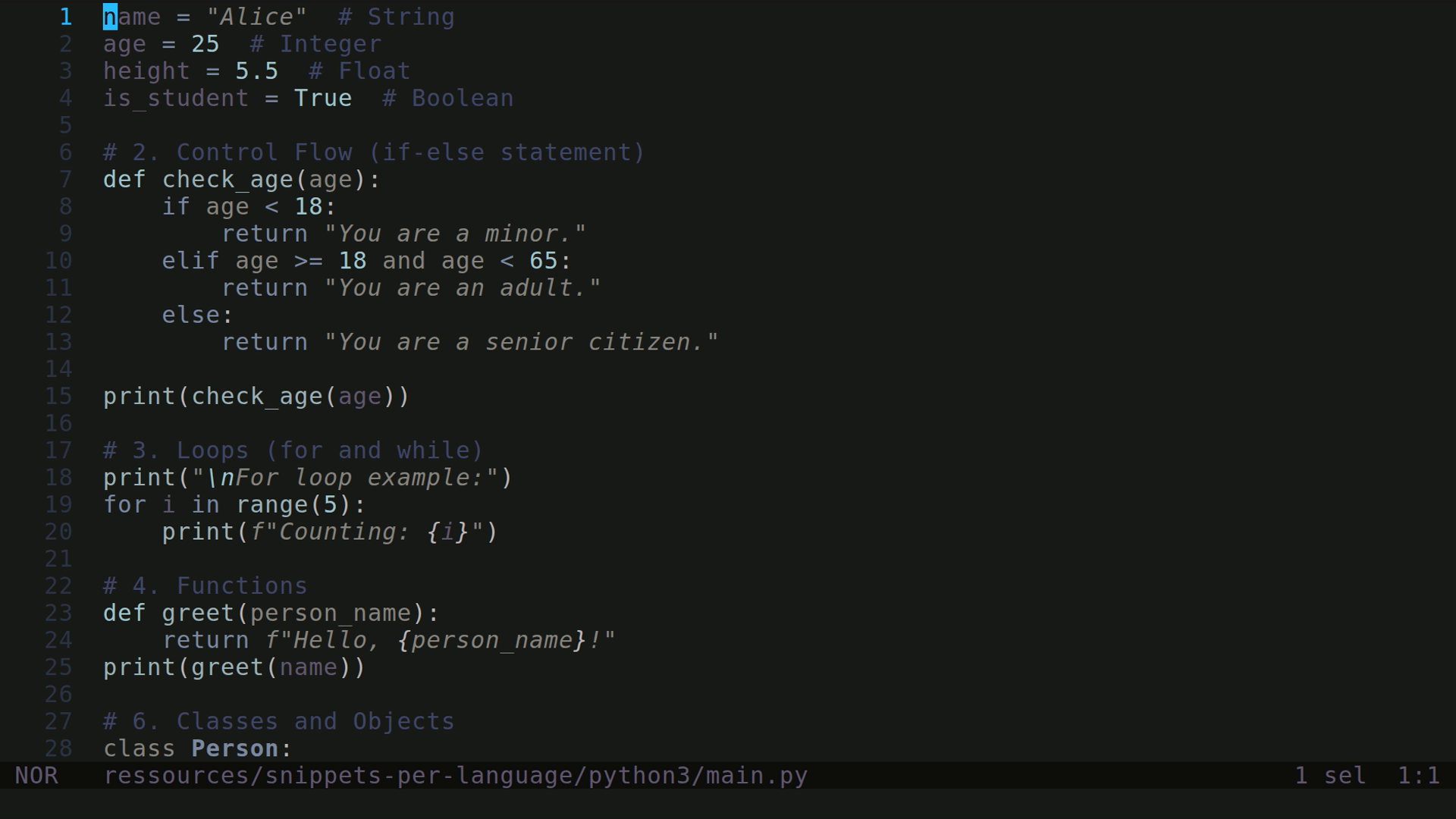 main.py 