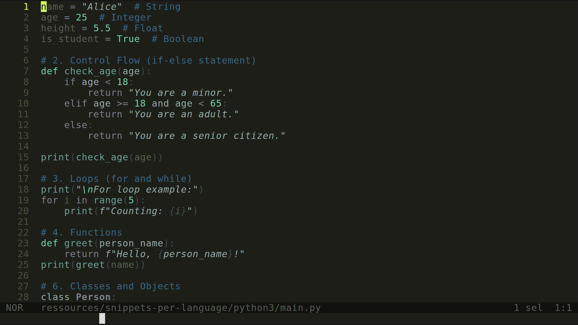 main.py 