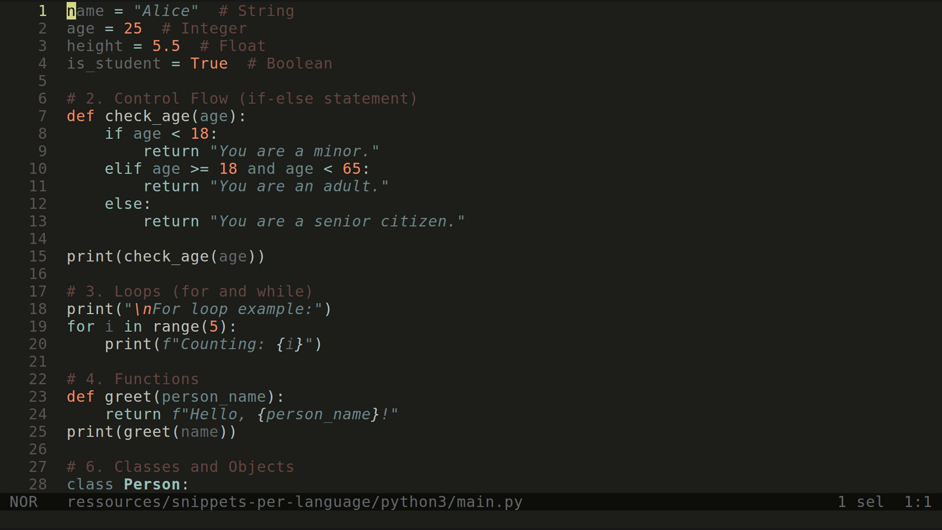 main.py 