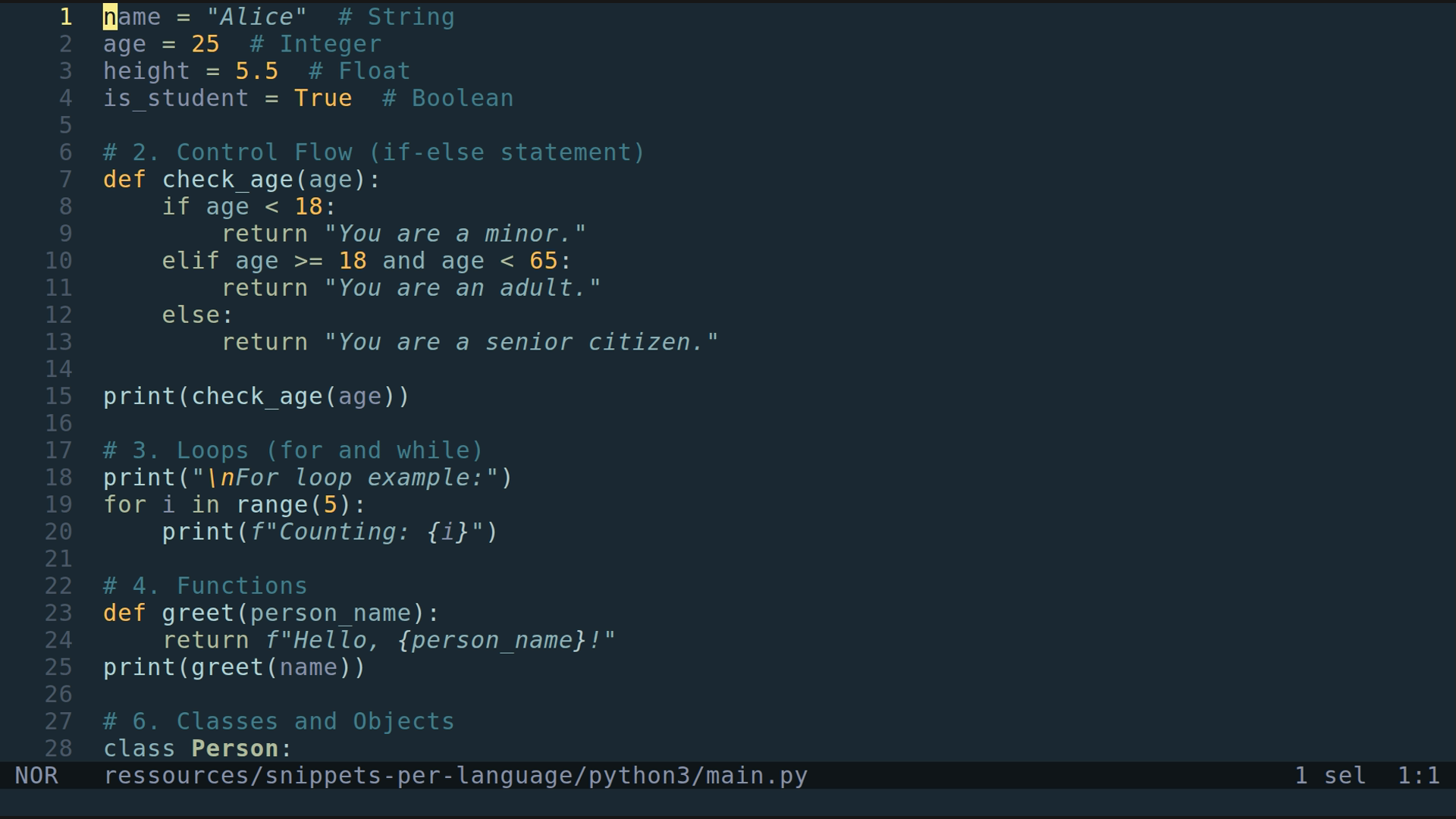 main.py 