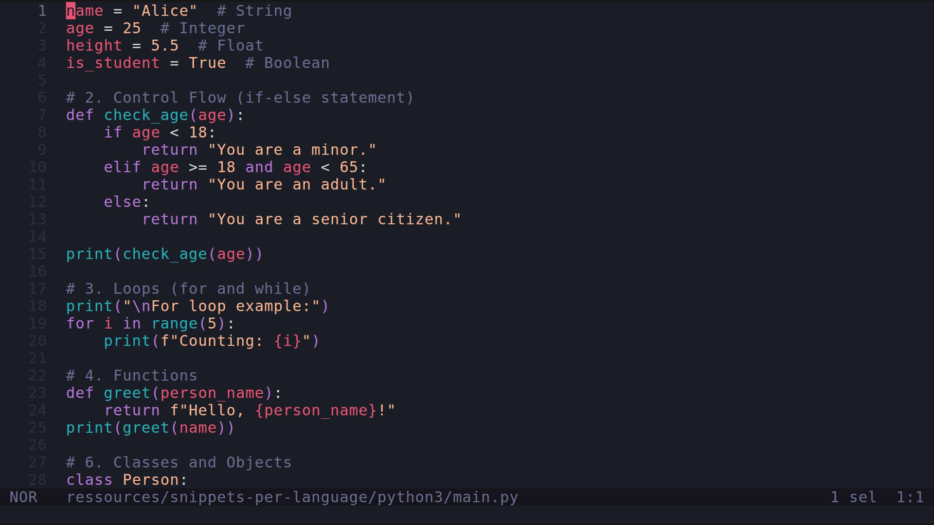 main.py 