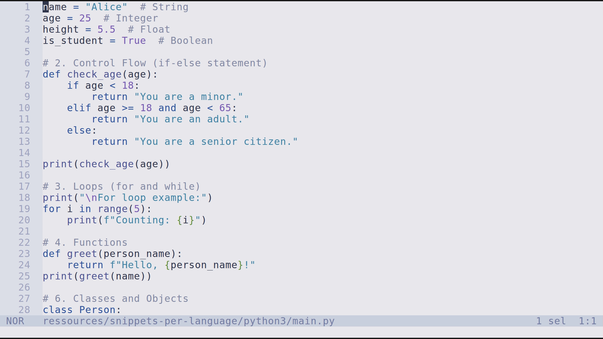 main.py 