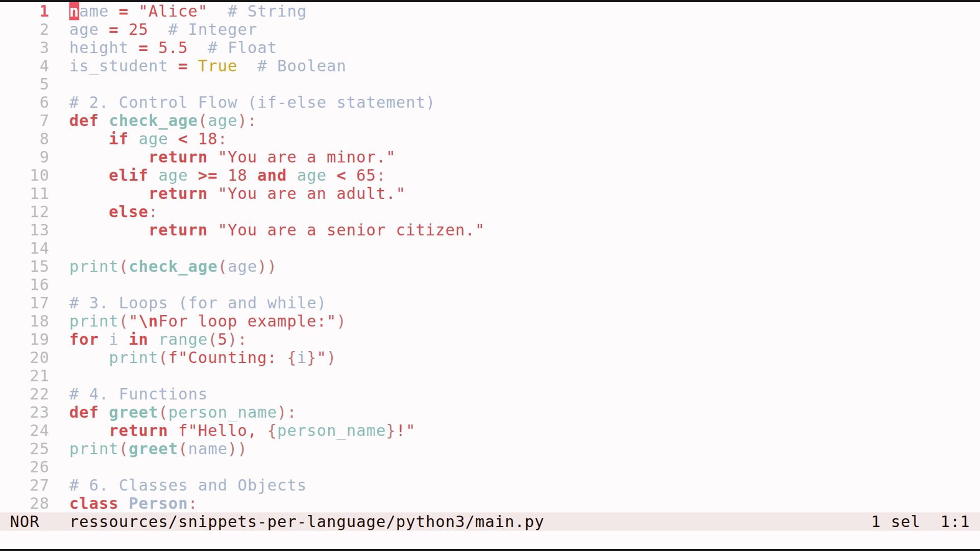 main.py 