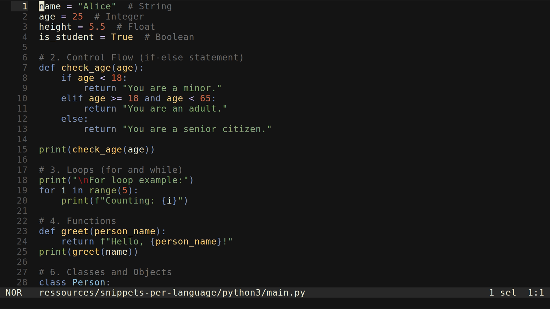 main.py 
