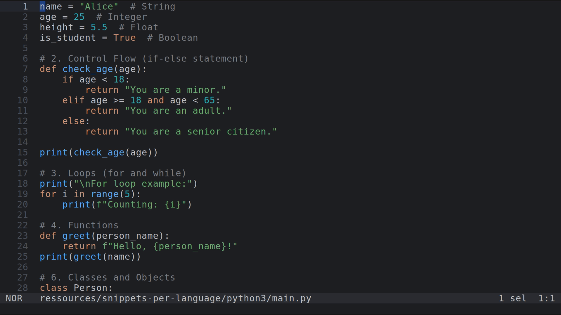 main.py 