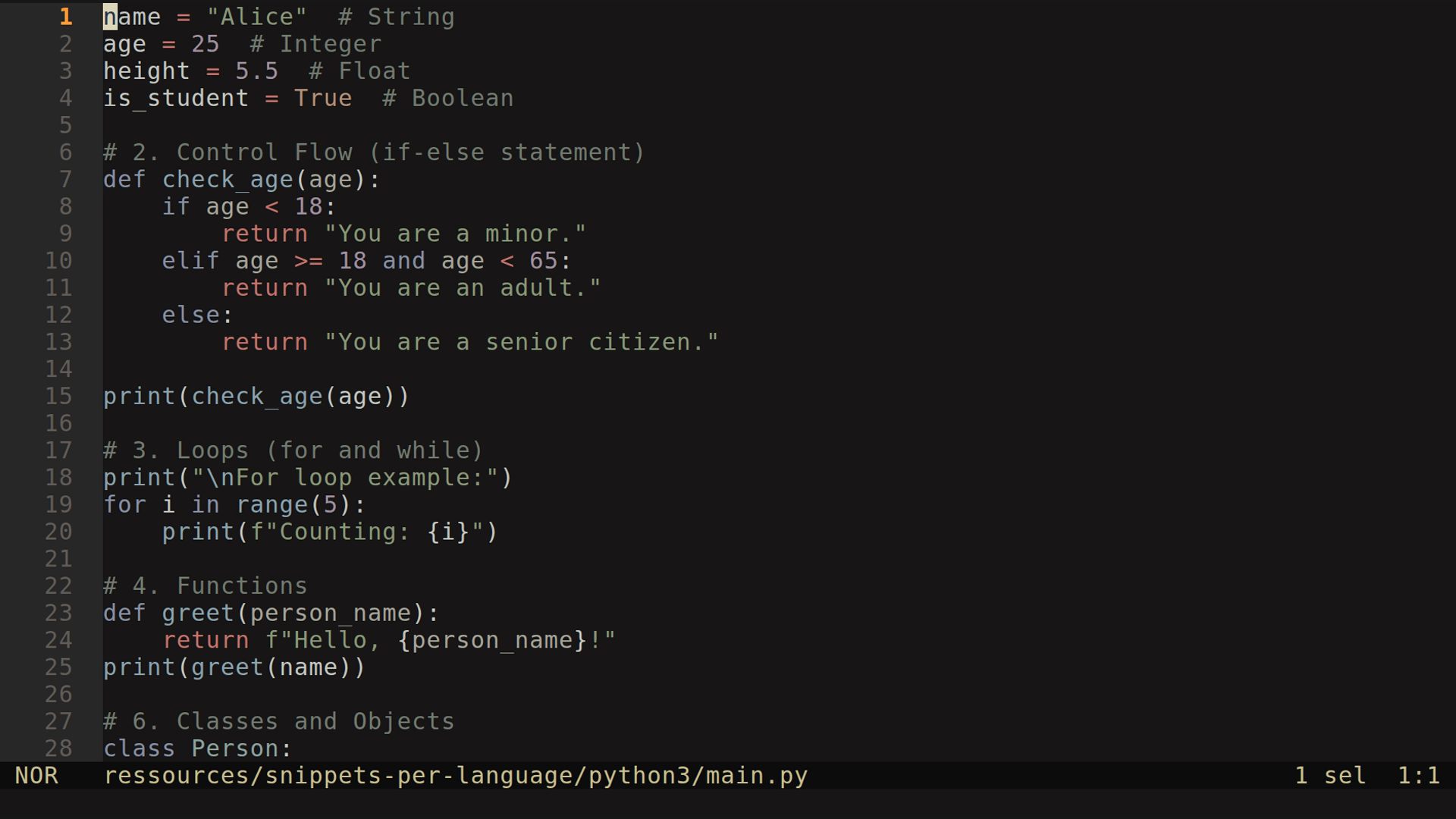 main.py 