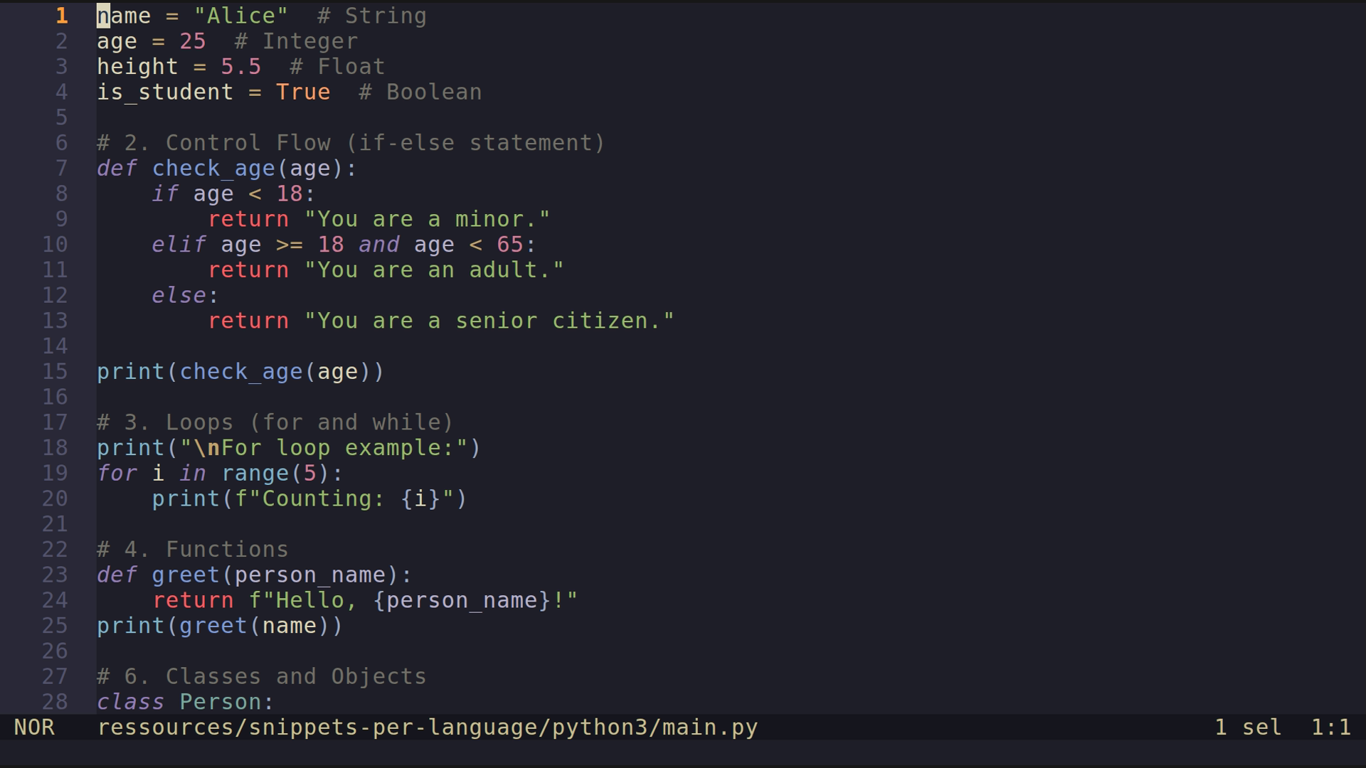 main.py 
