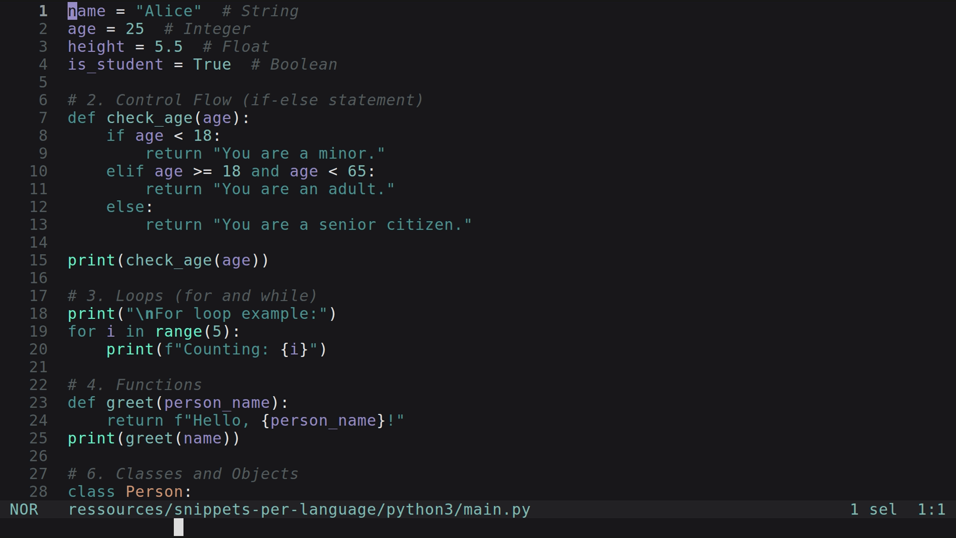 main.py 