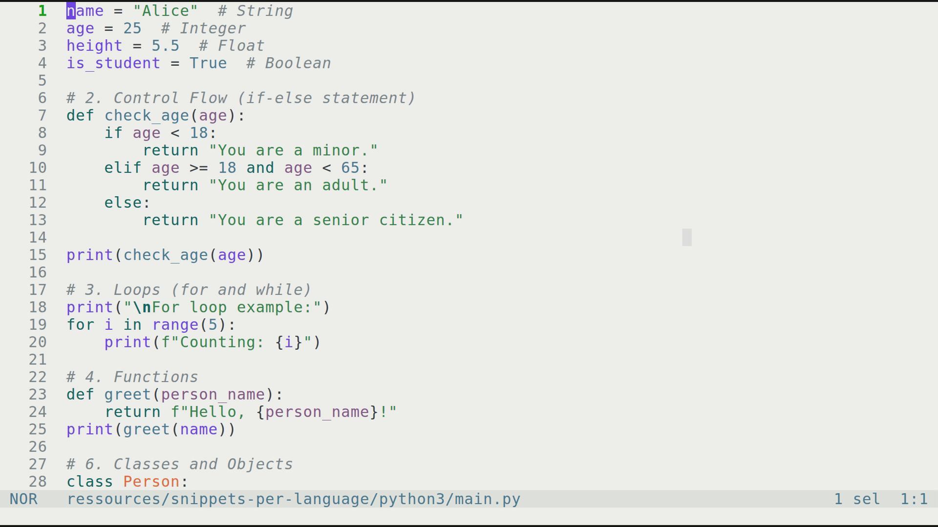main.py 