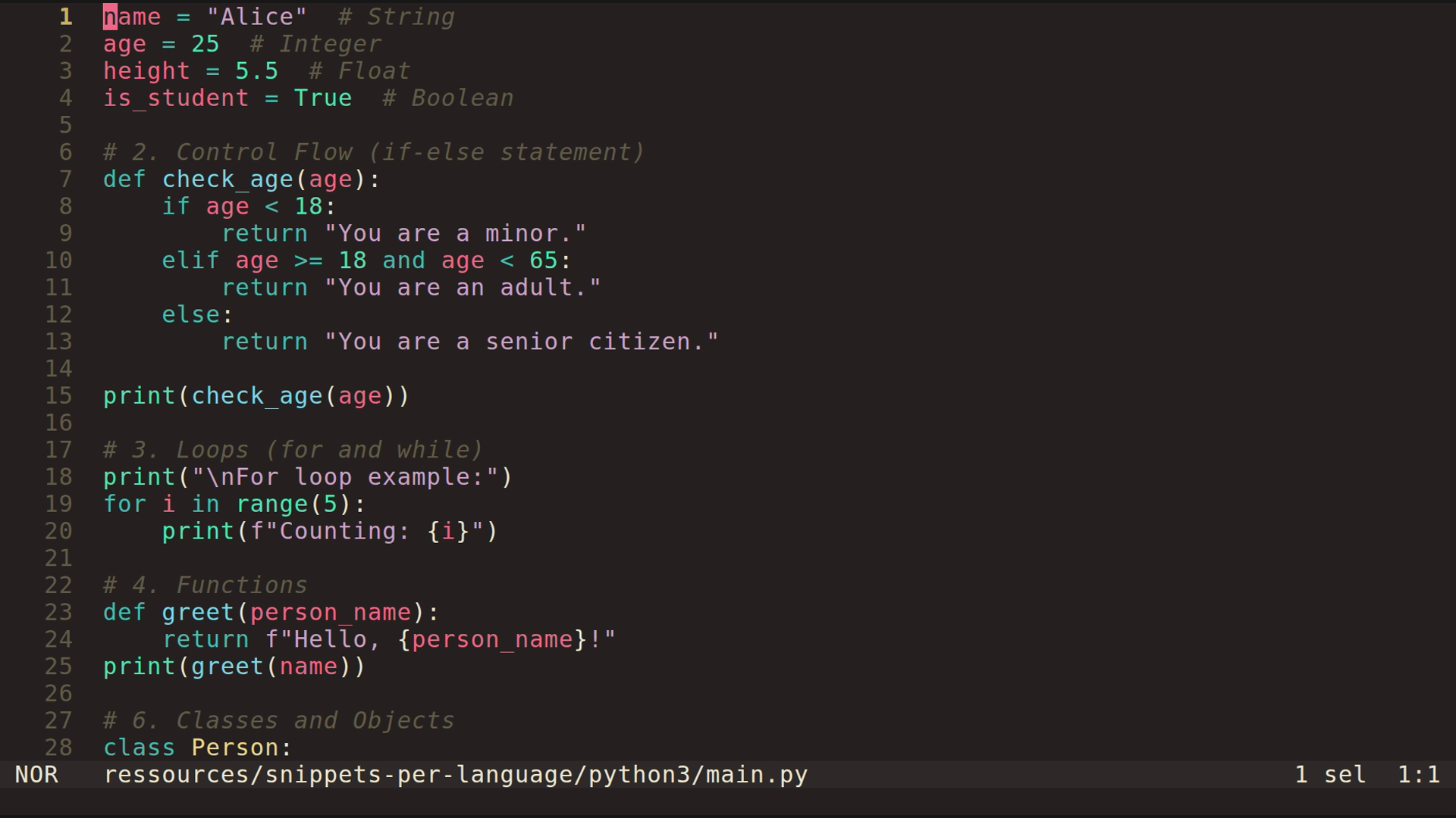 main.py 