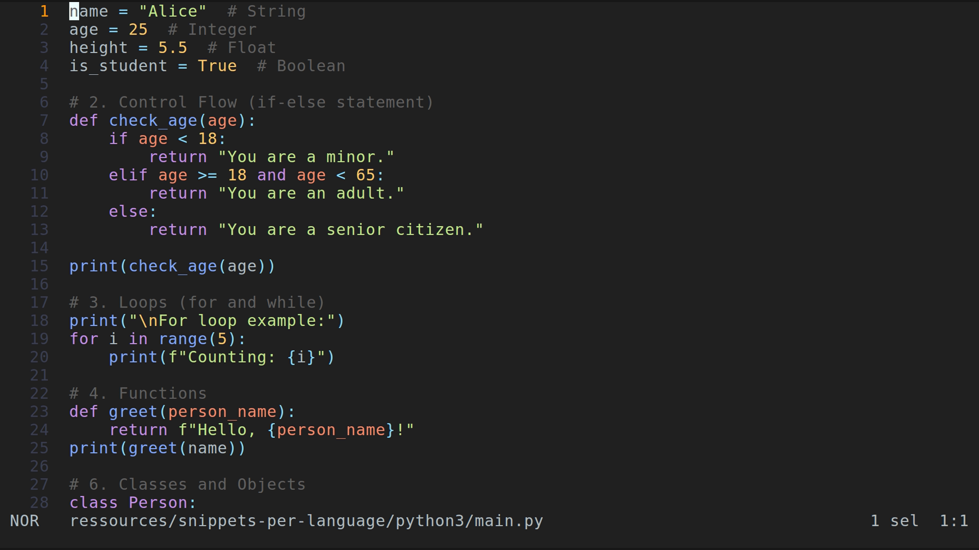 main.py 