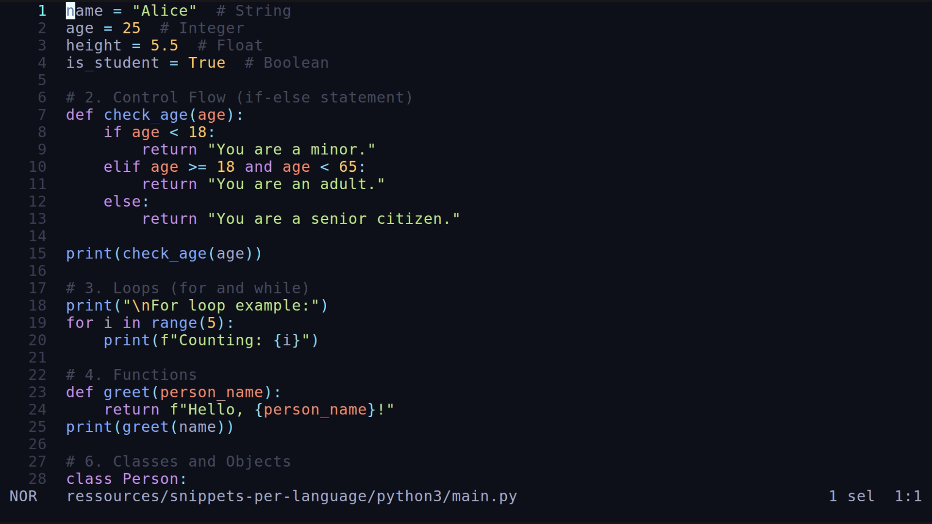 main.py 