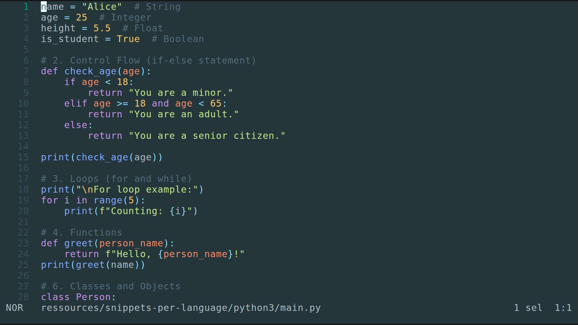 main.py 
