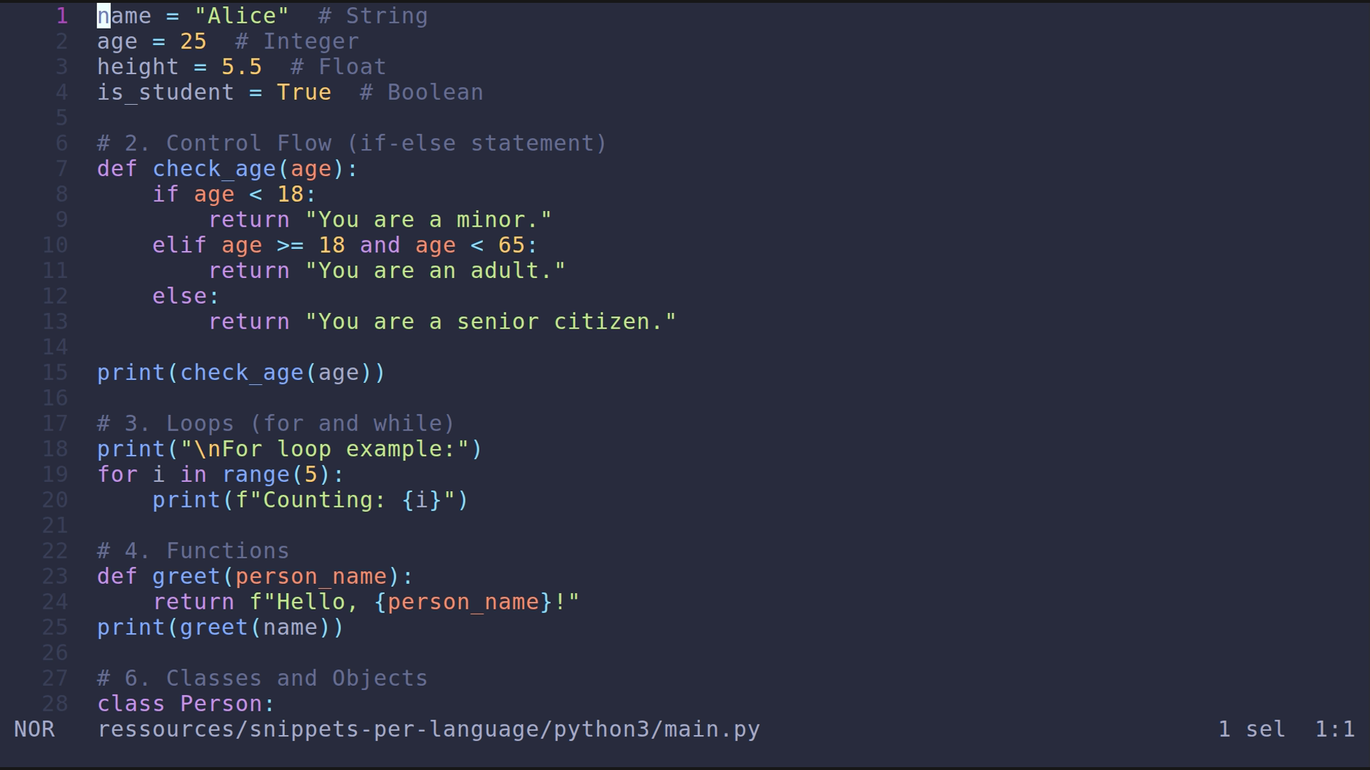 main.py 