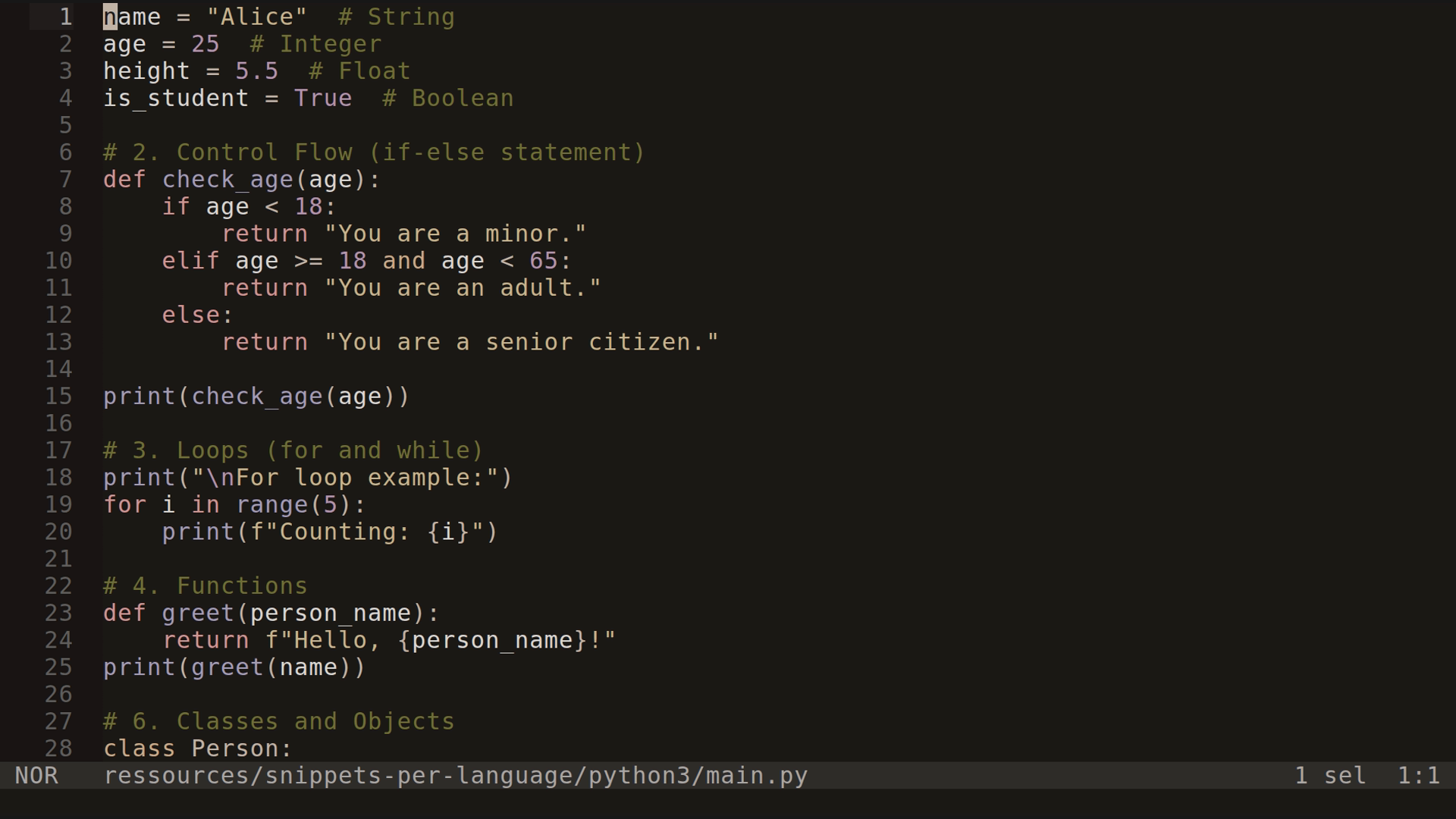 main.py 