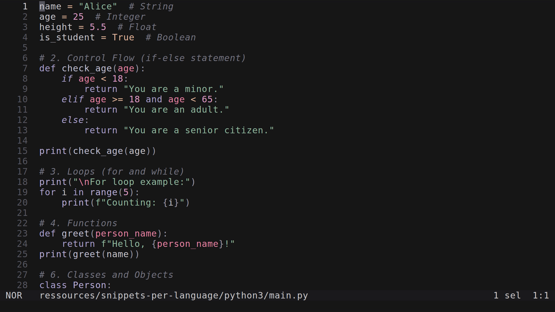 main.py 