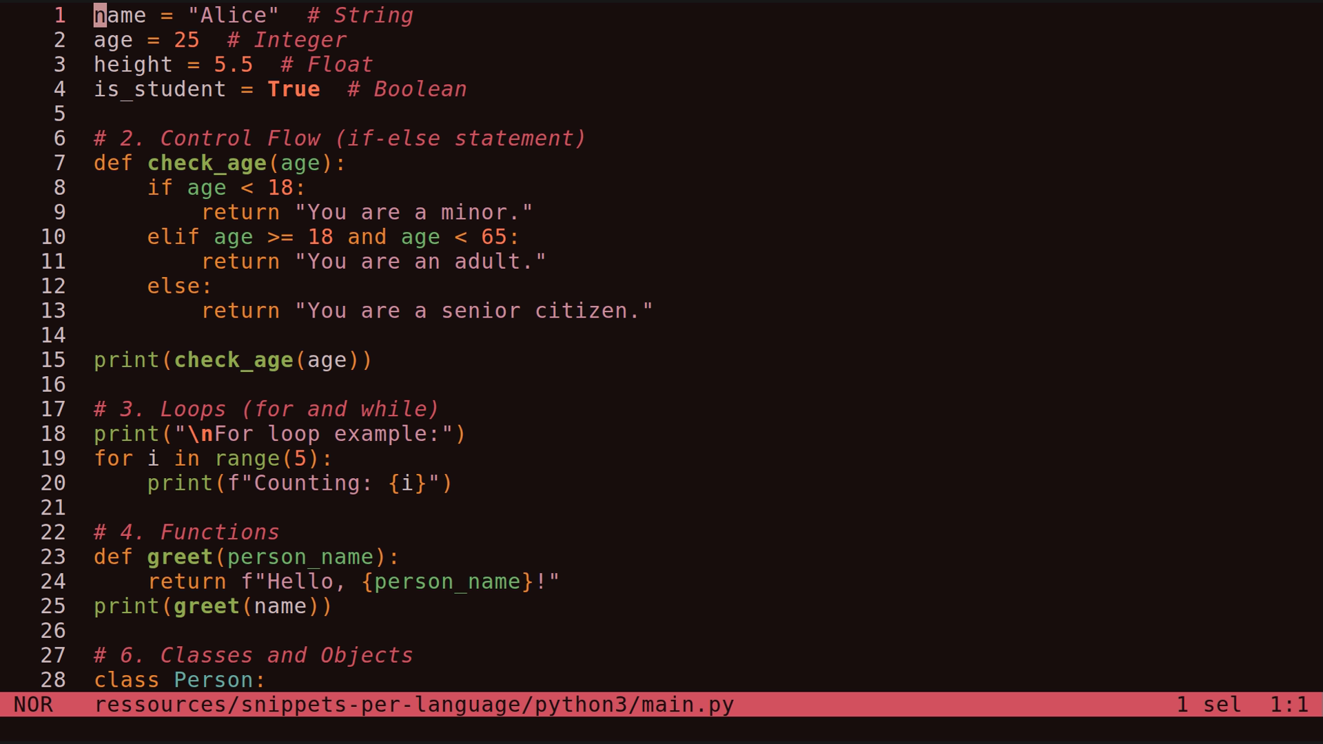 main.py 