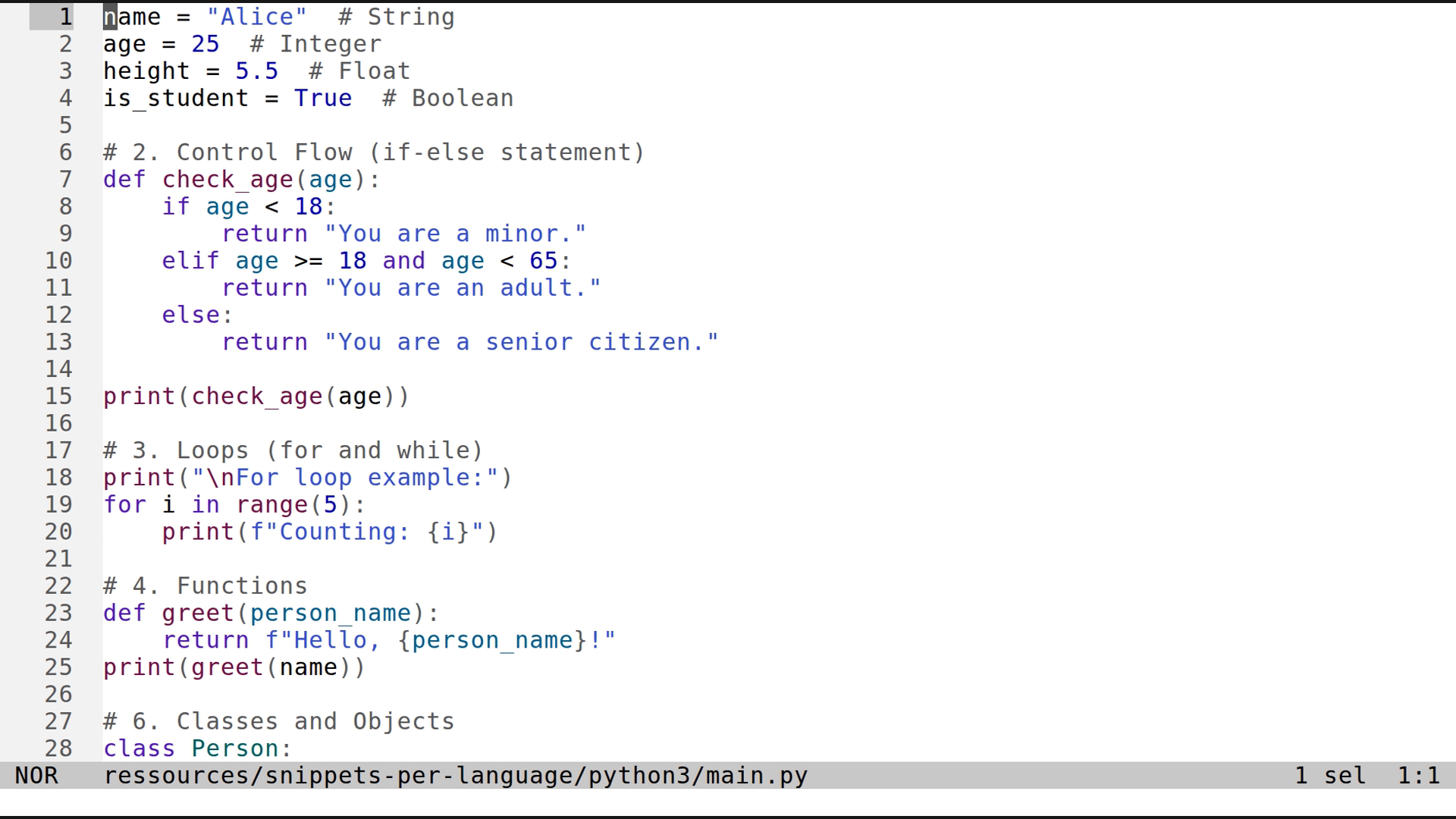 main.py 