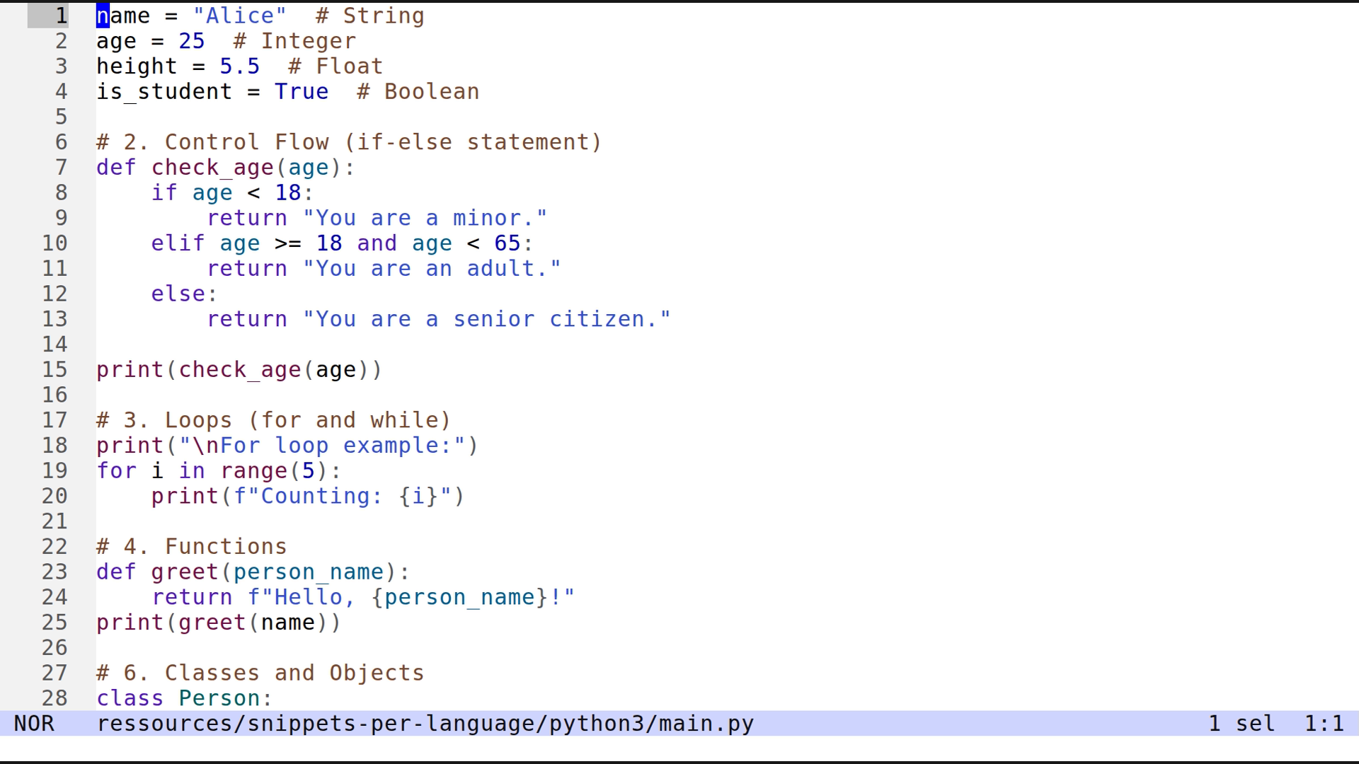 main.py 