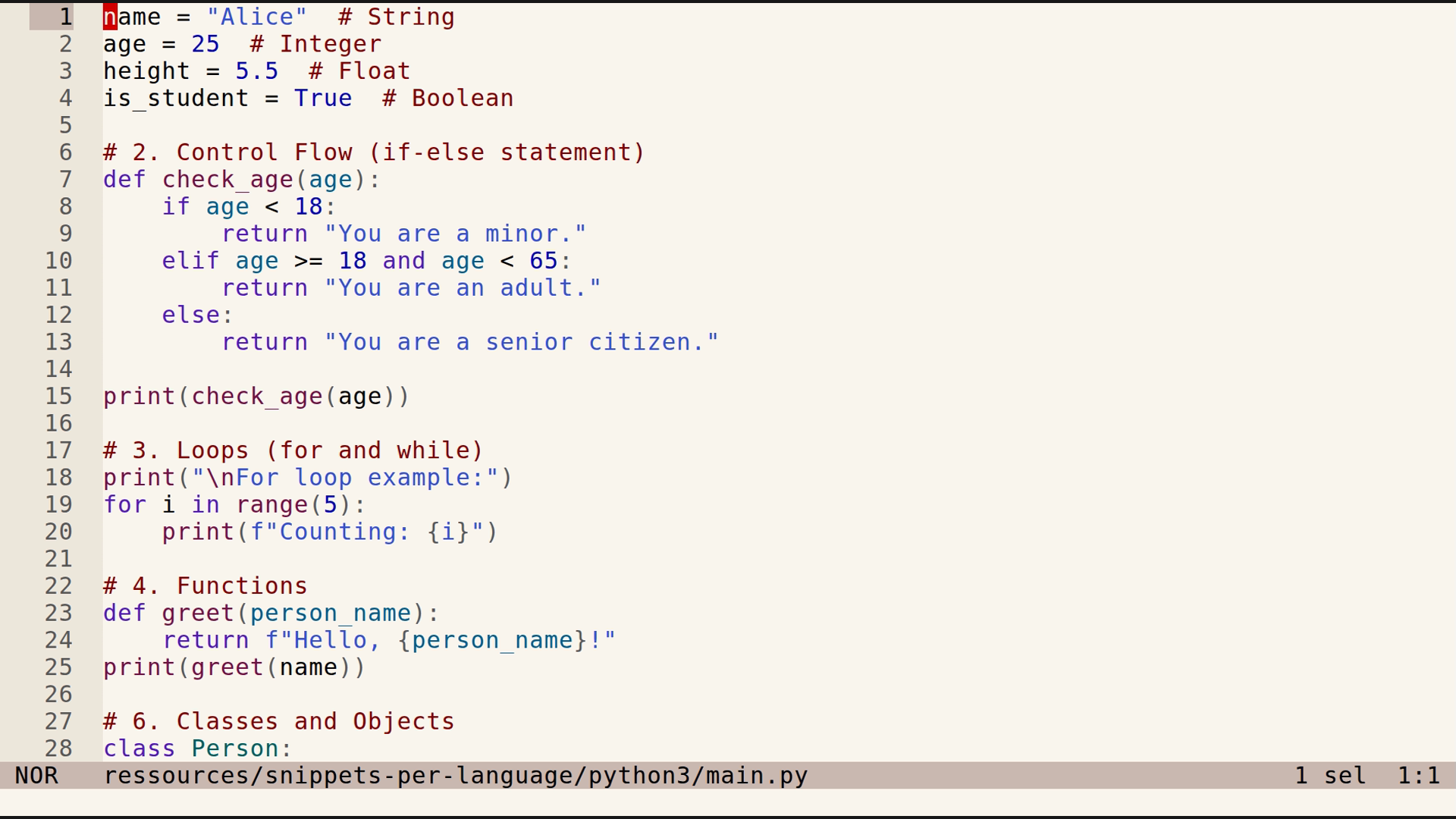 main.py 