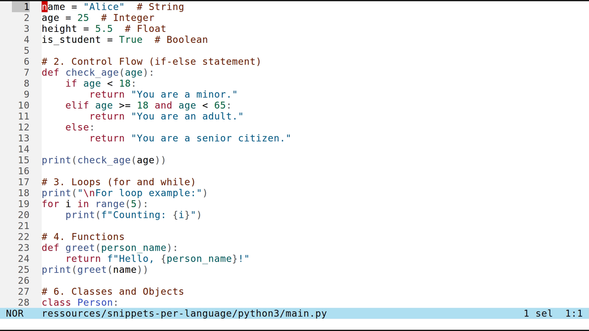 main.py 
