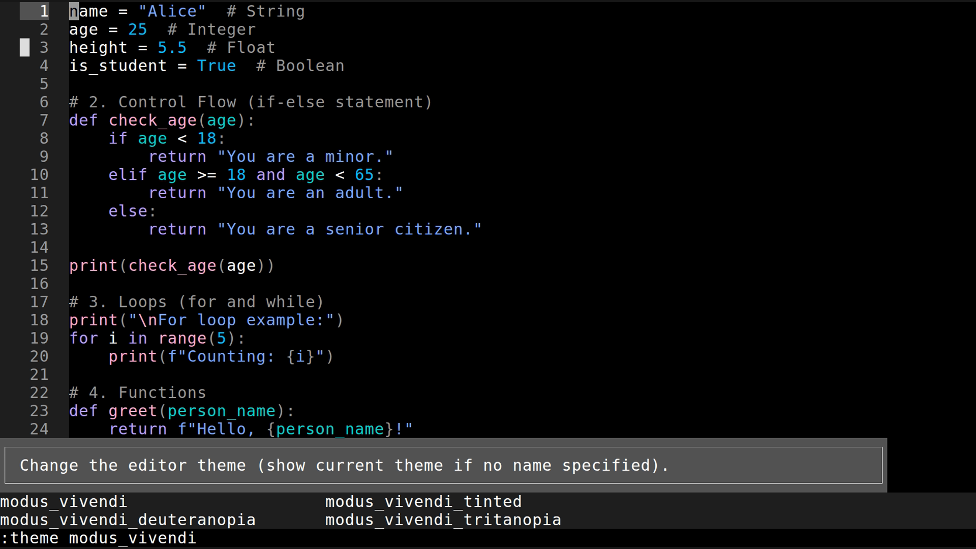 main.py 