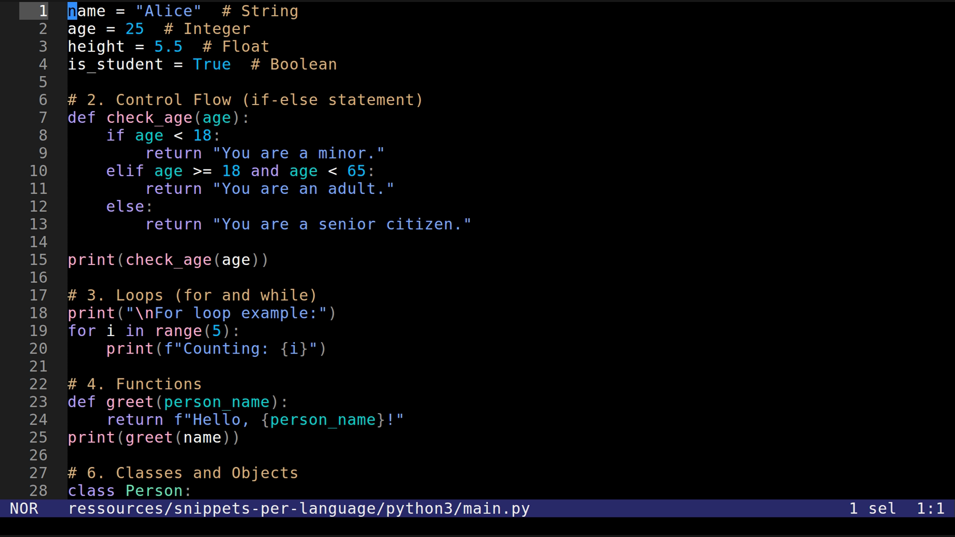 main.py 