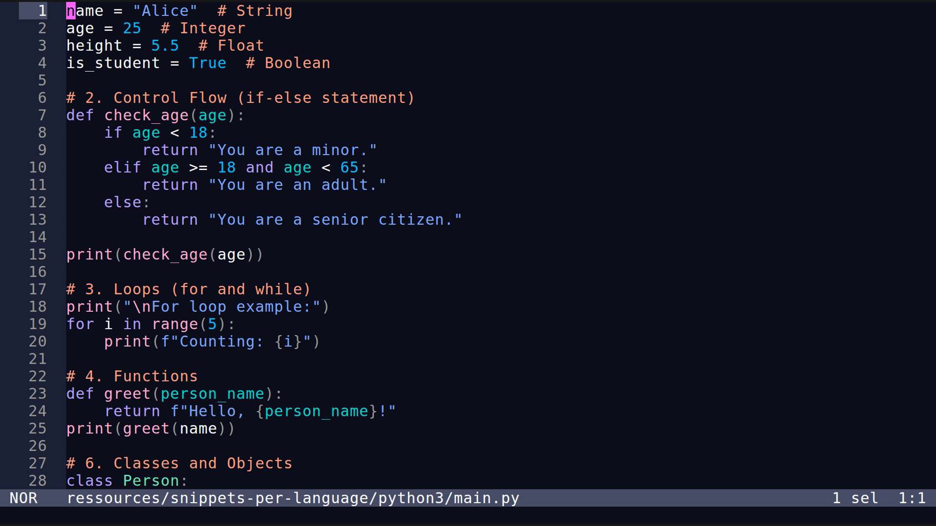 main.py 