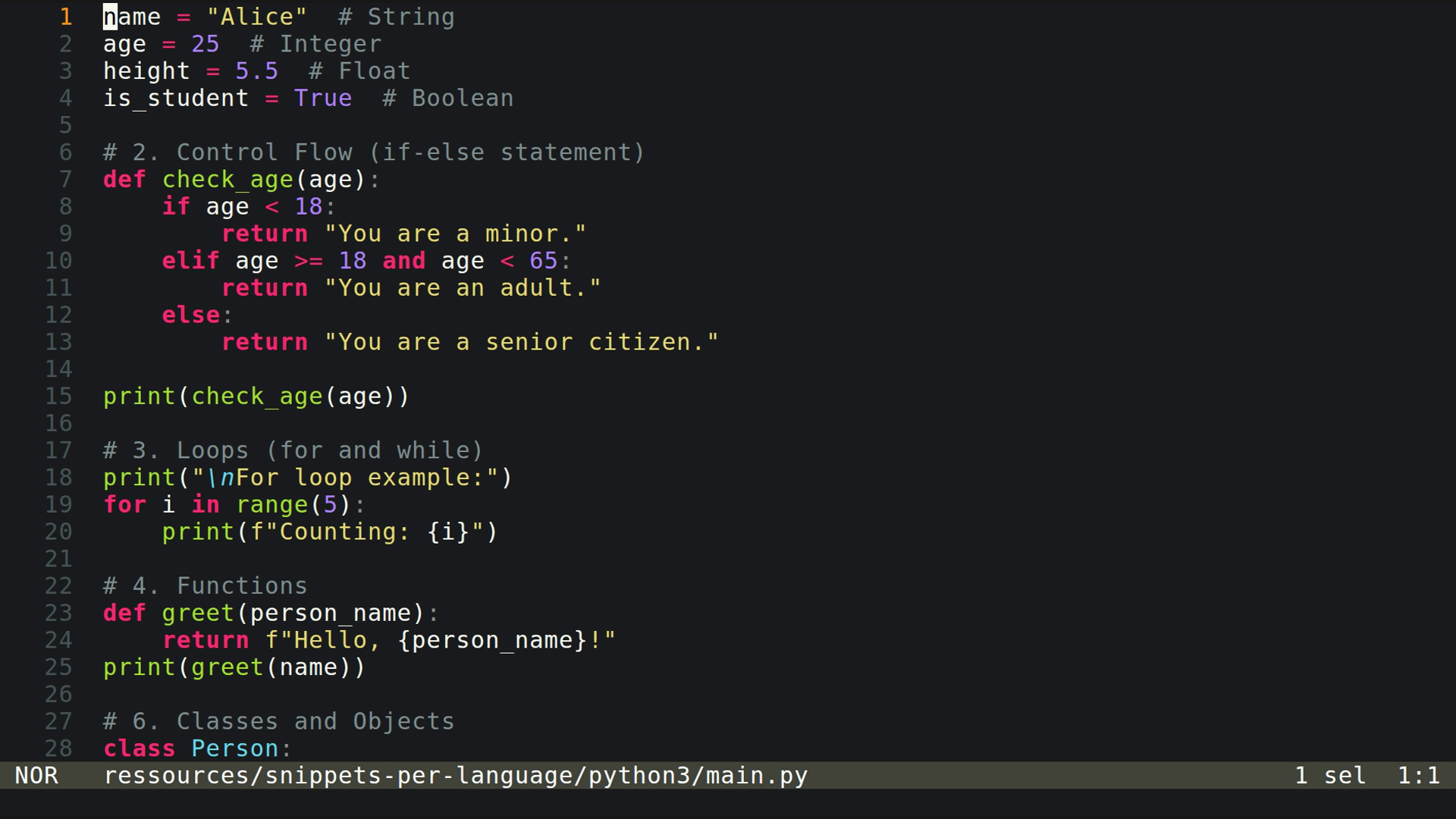 main.py 