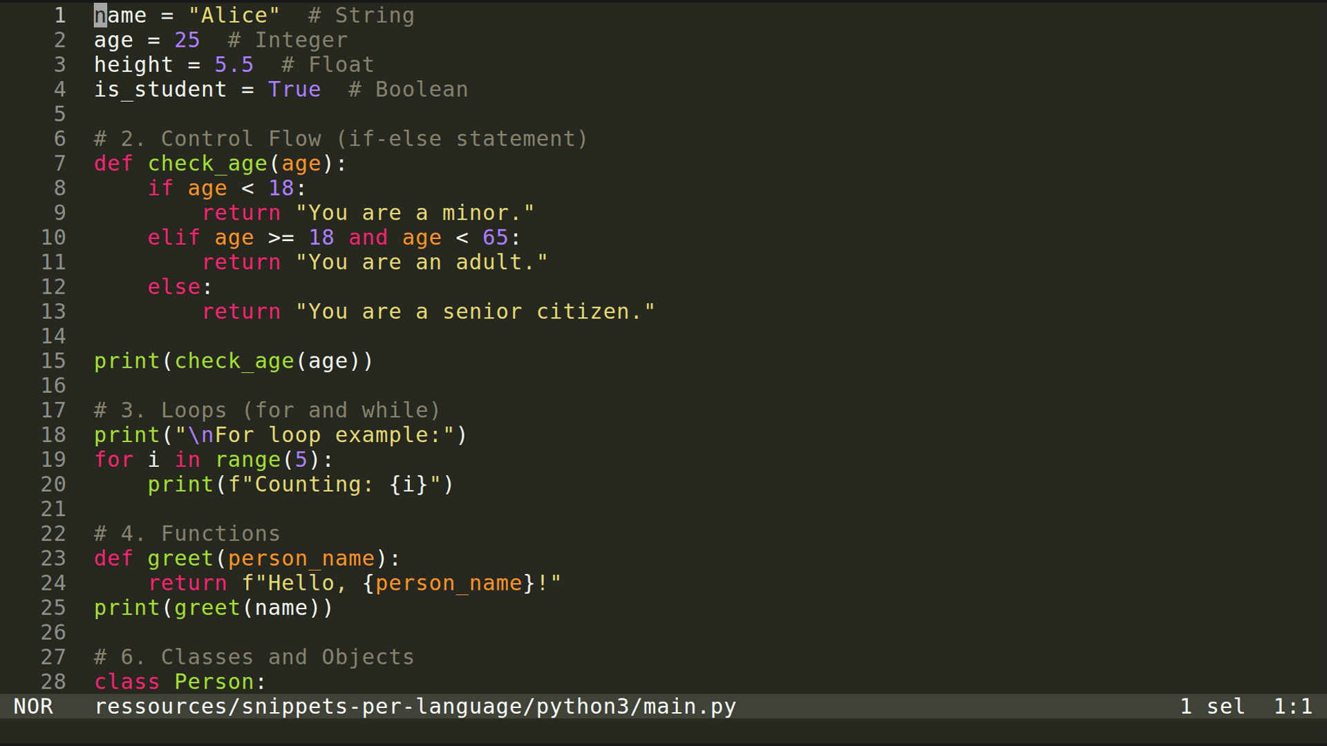 main.py 