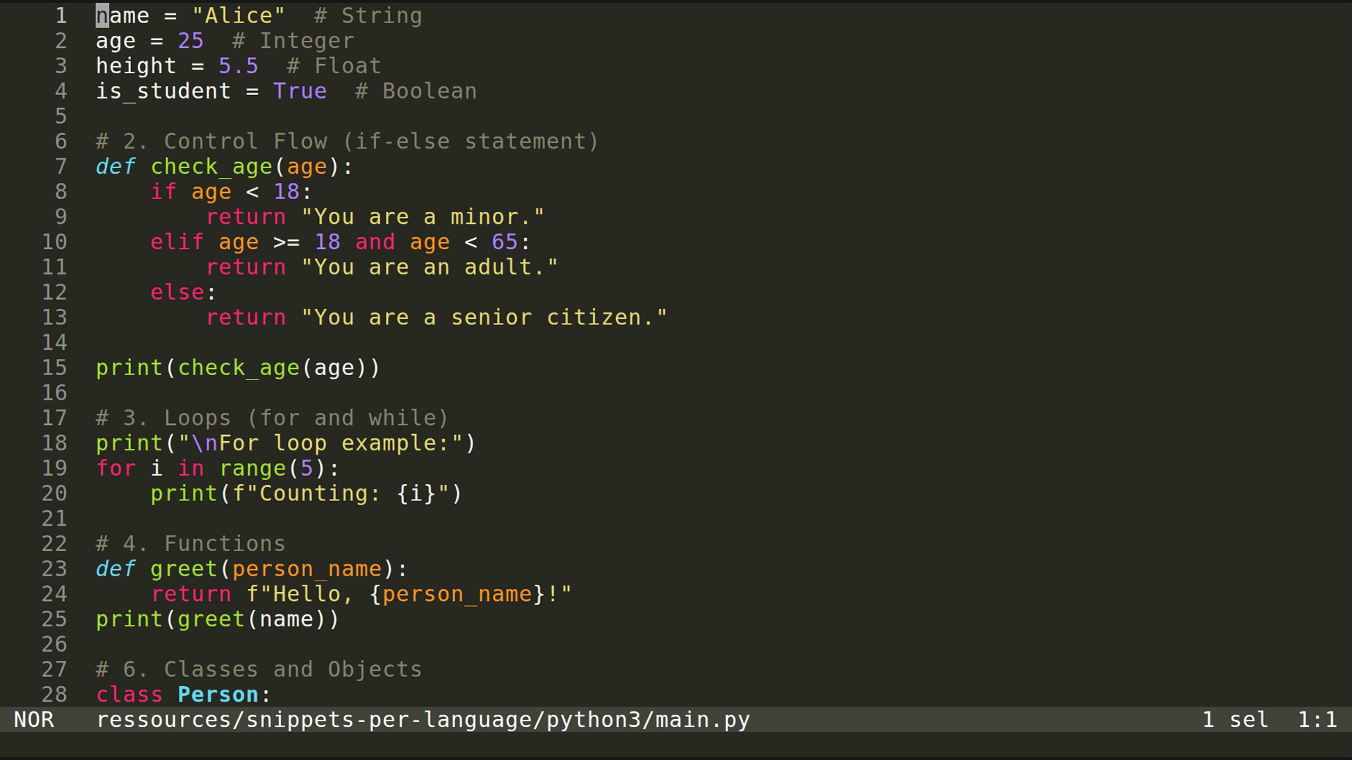 main.py 