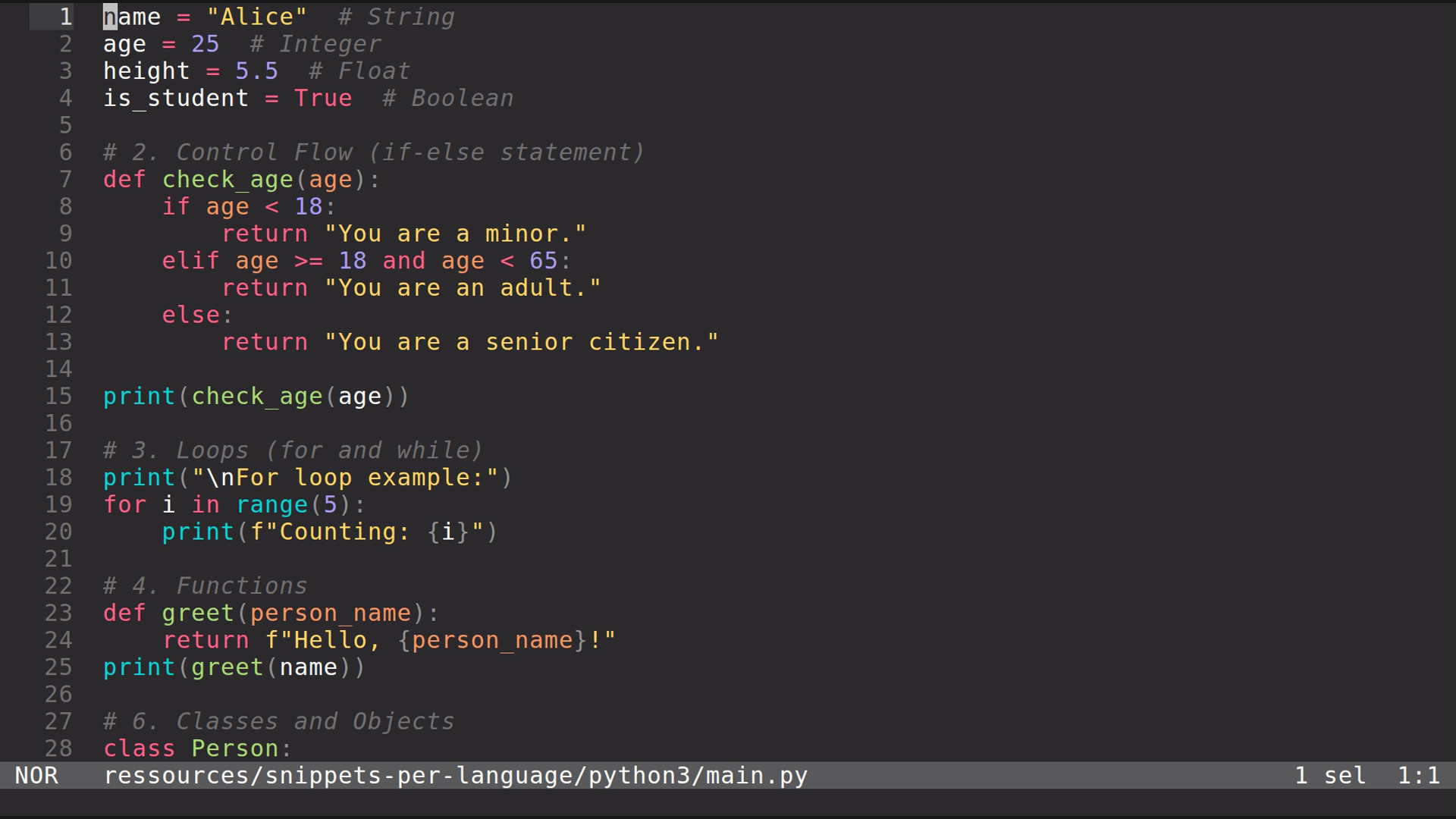 main.py 