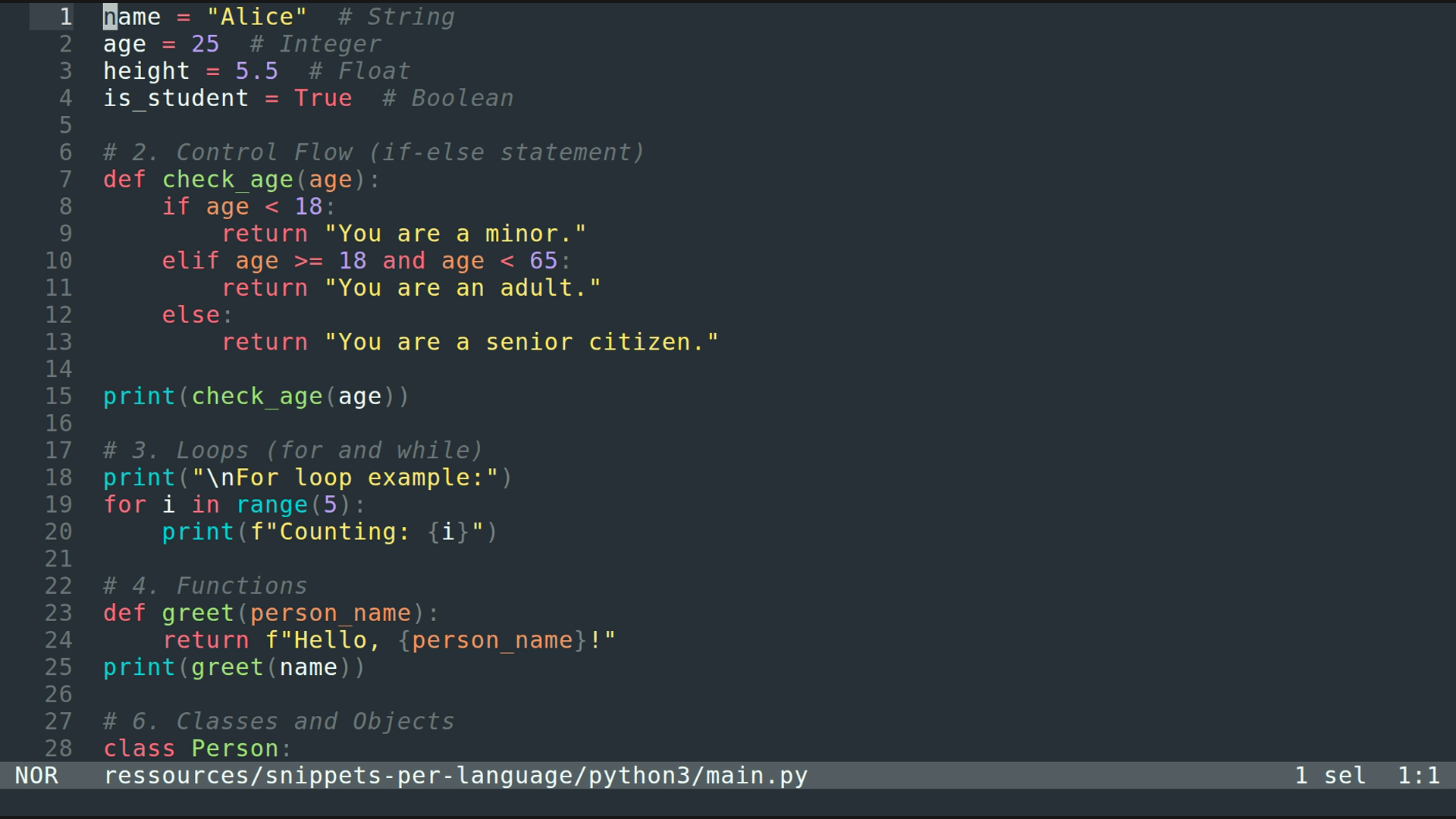 main.py 