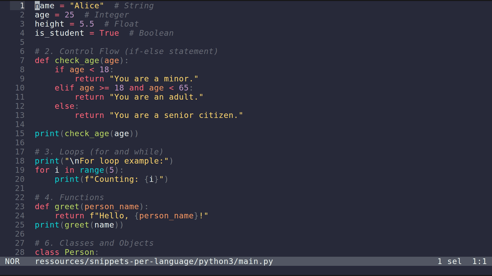main.py 