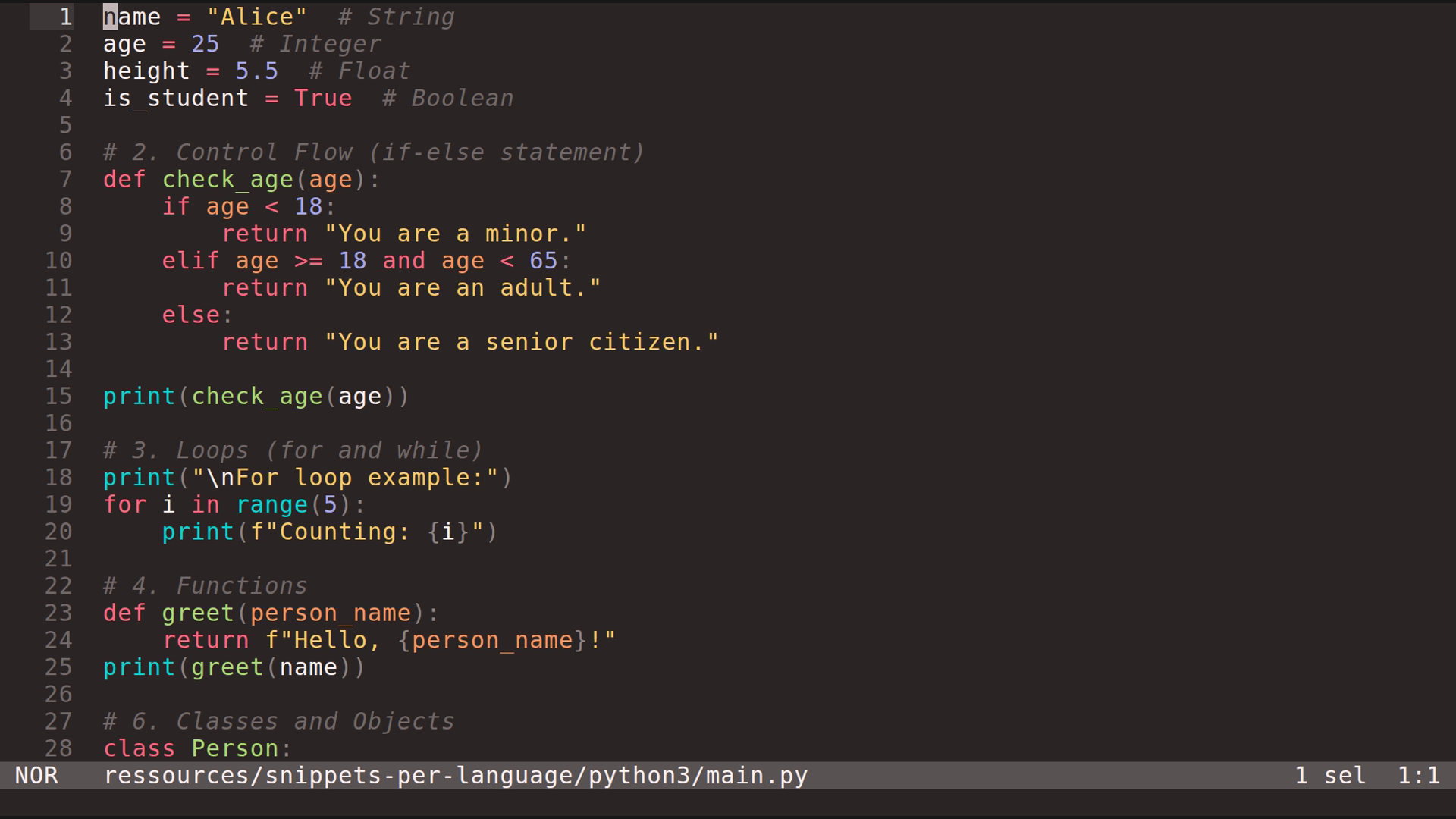 main.py 