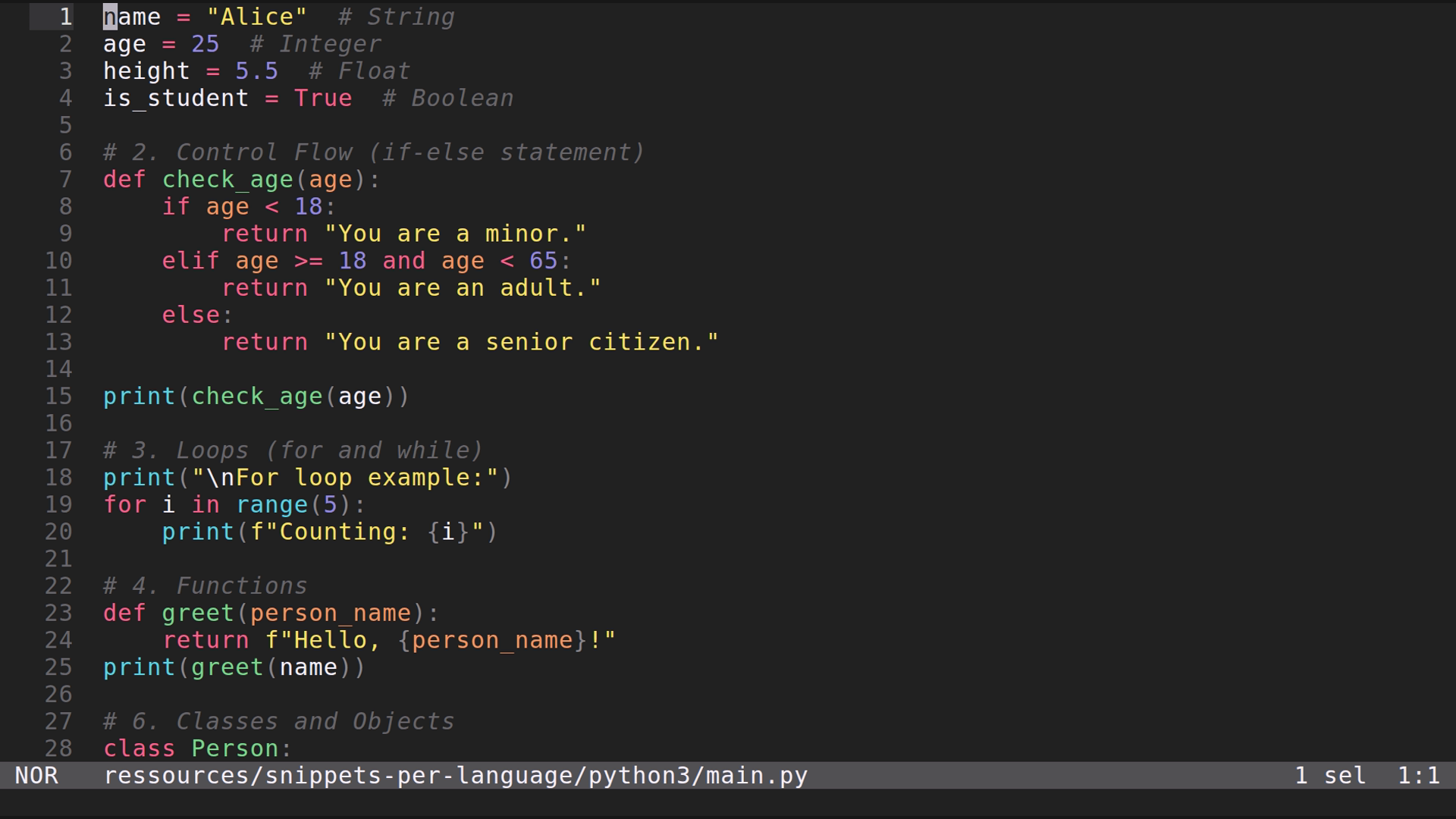 main.py 
