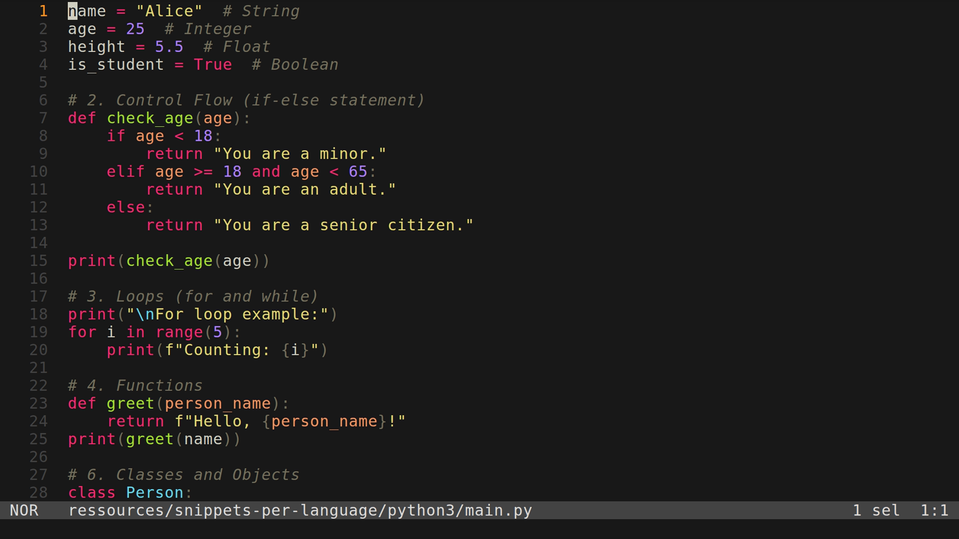 main.py 