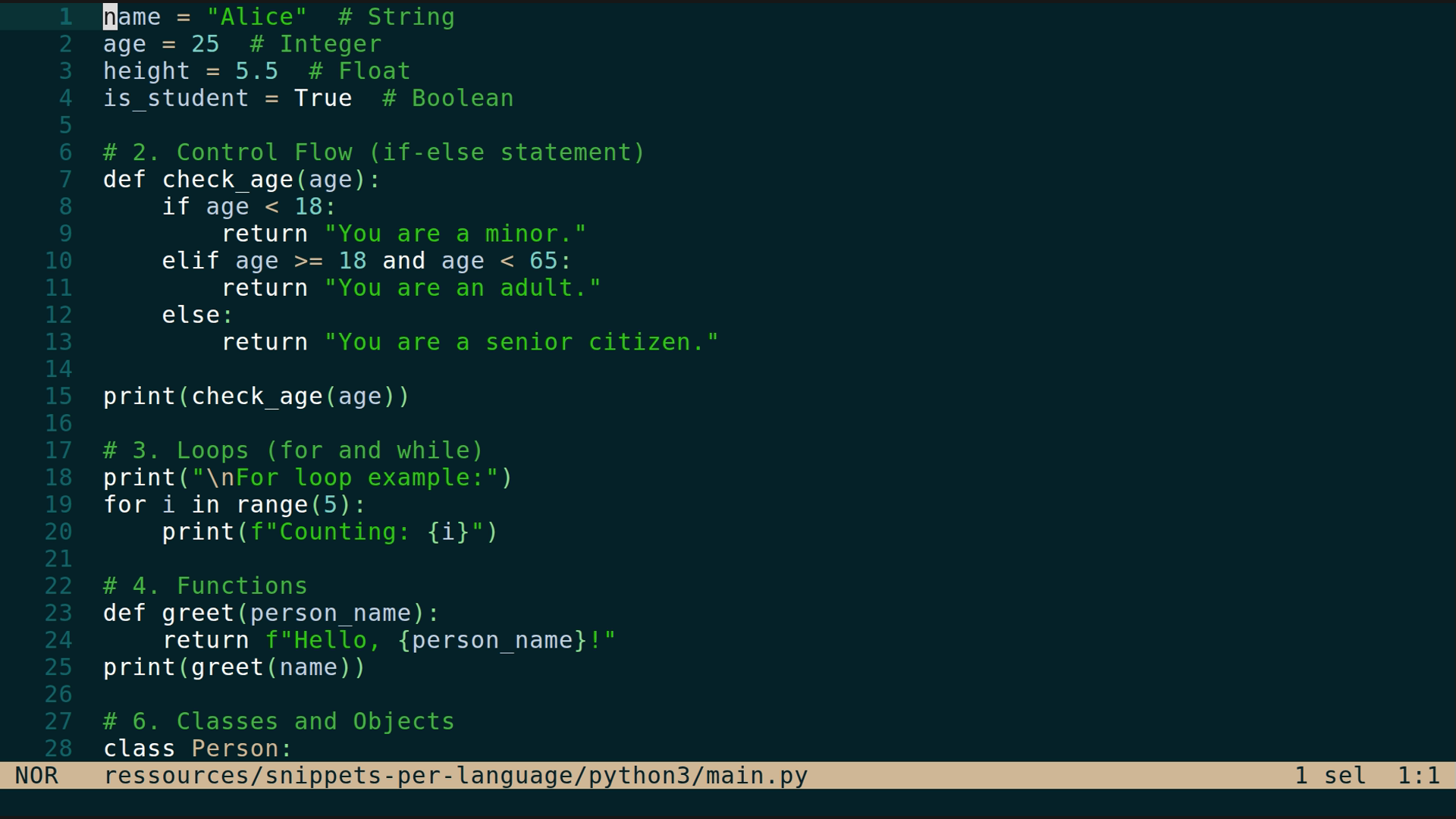 main.py 