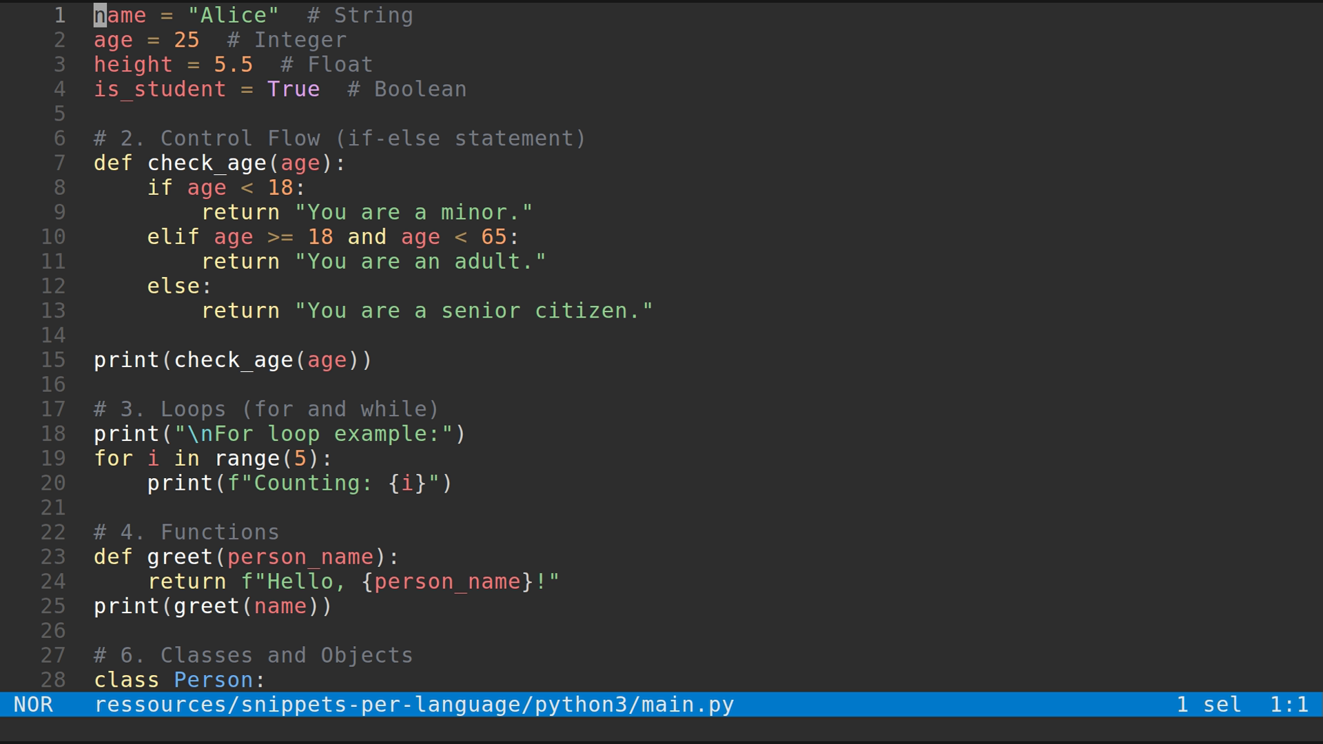 main.py 