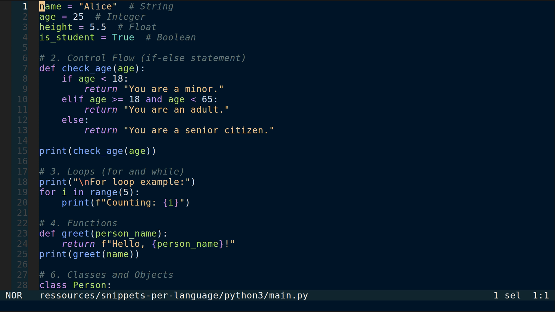 main.py 