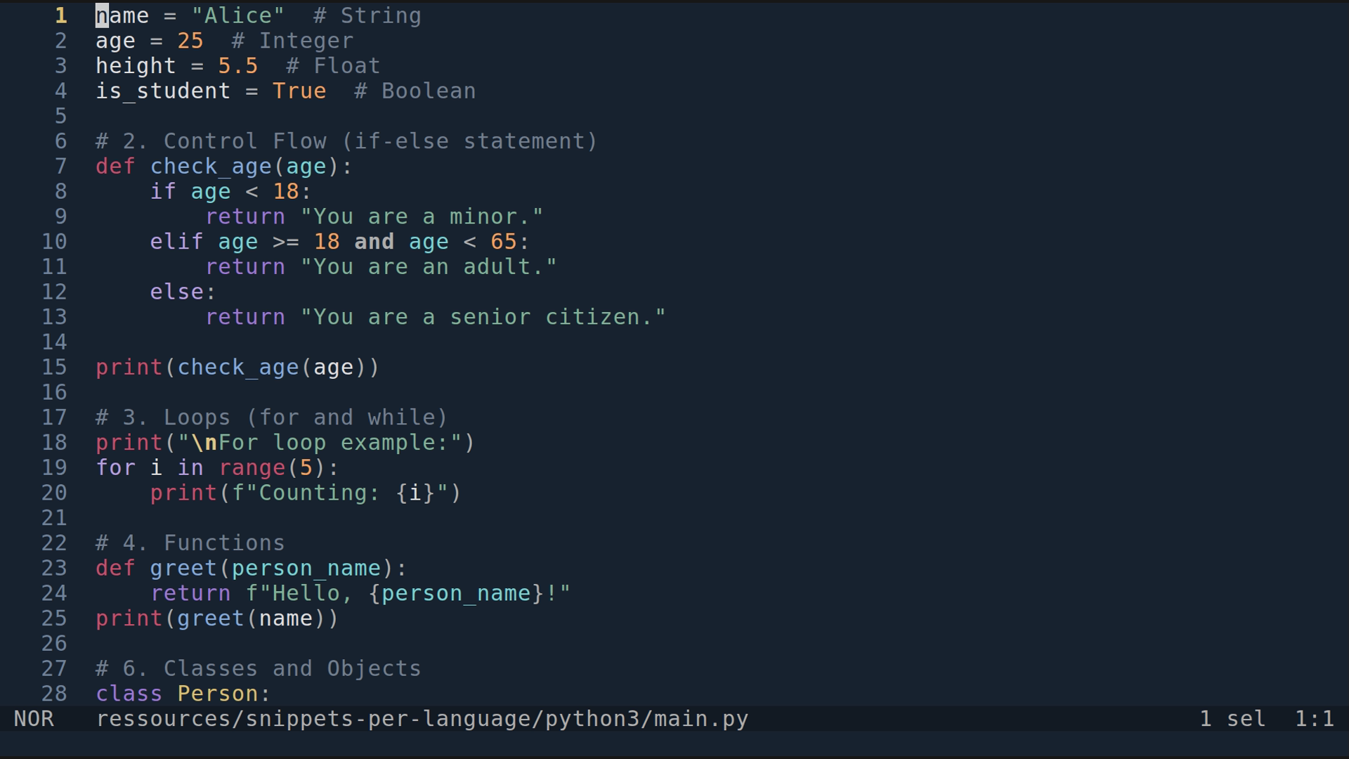 main.py 