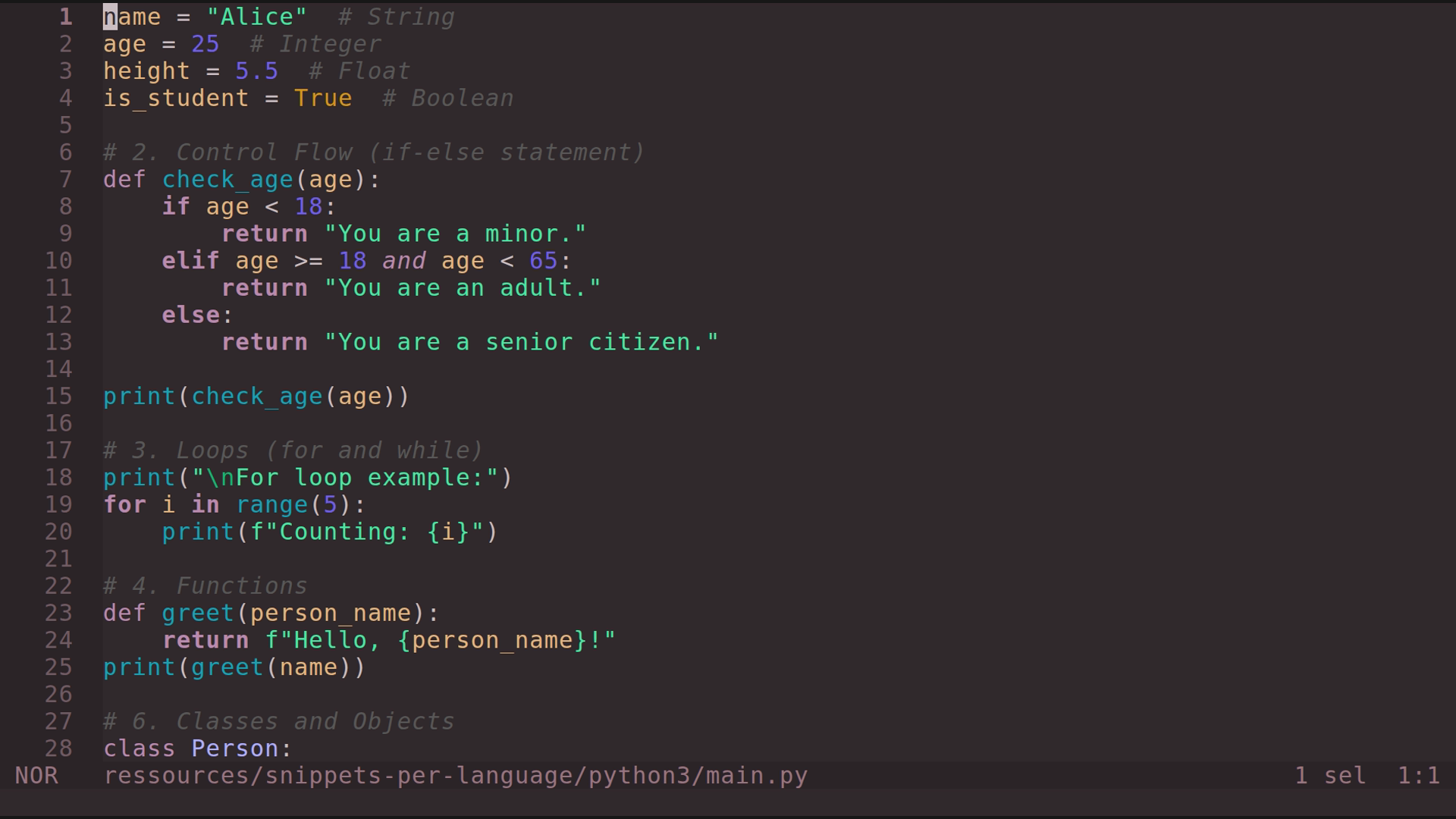 main.py 