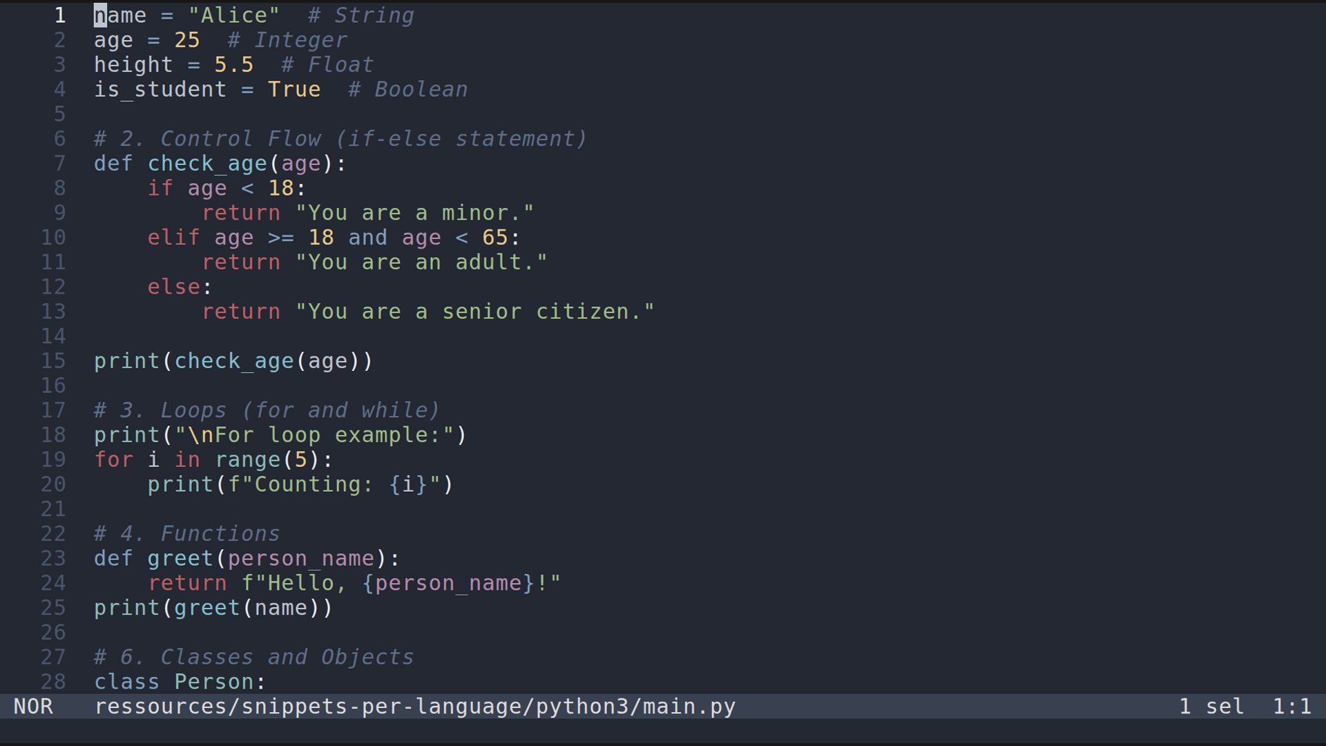 main.py 