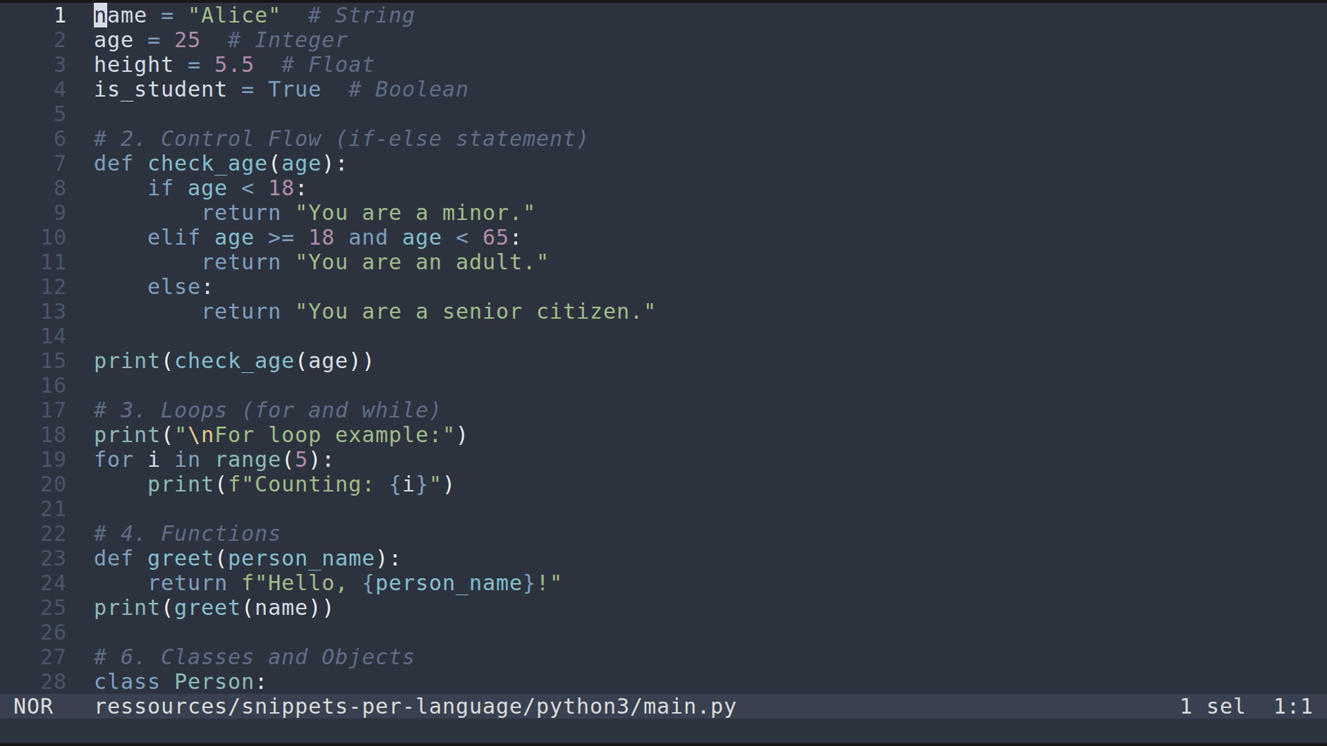 main.py 