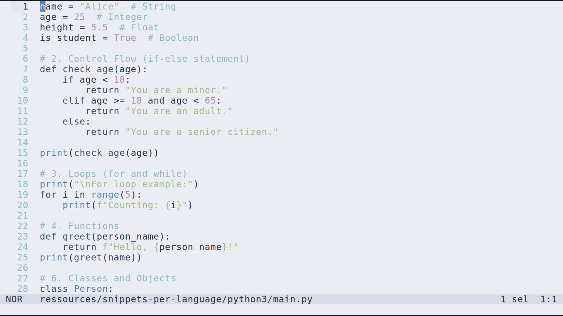 main.py 
