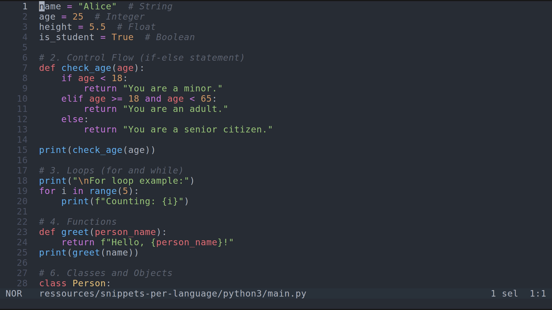 main.py 