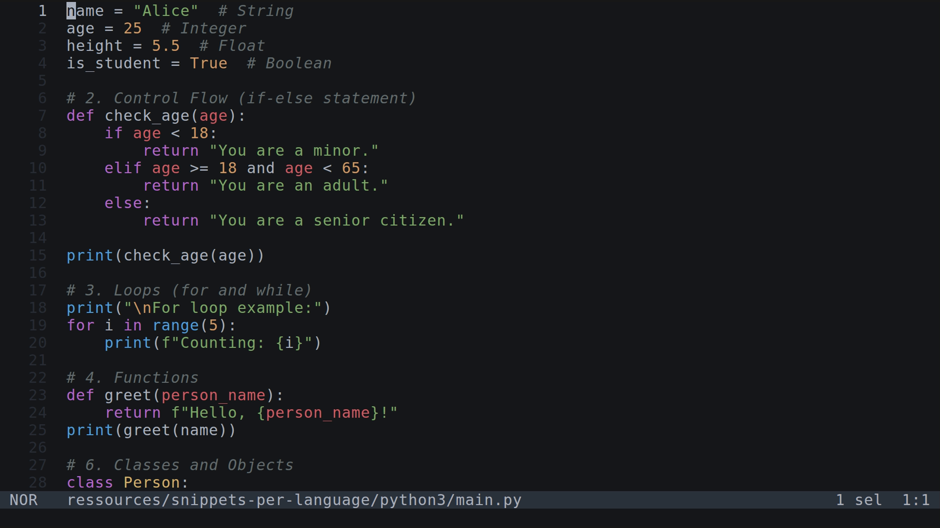 main.py 