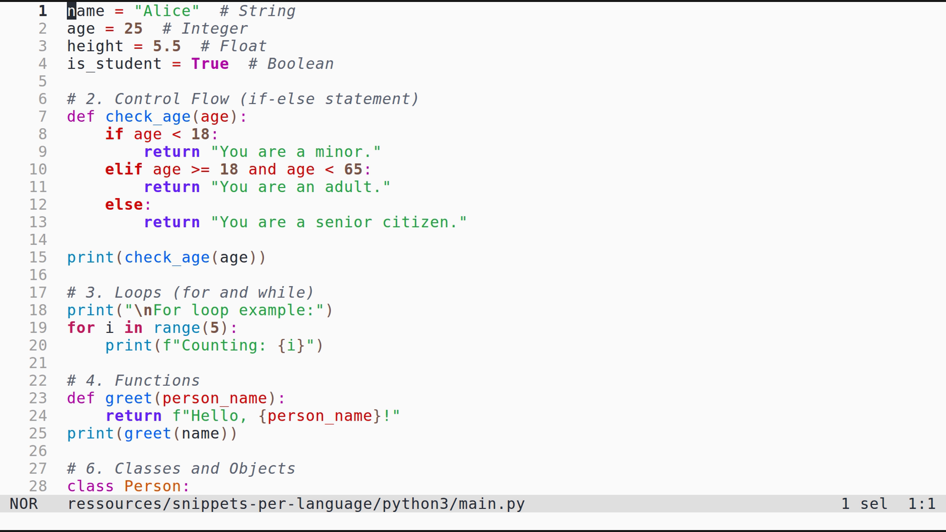 main.py 